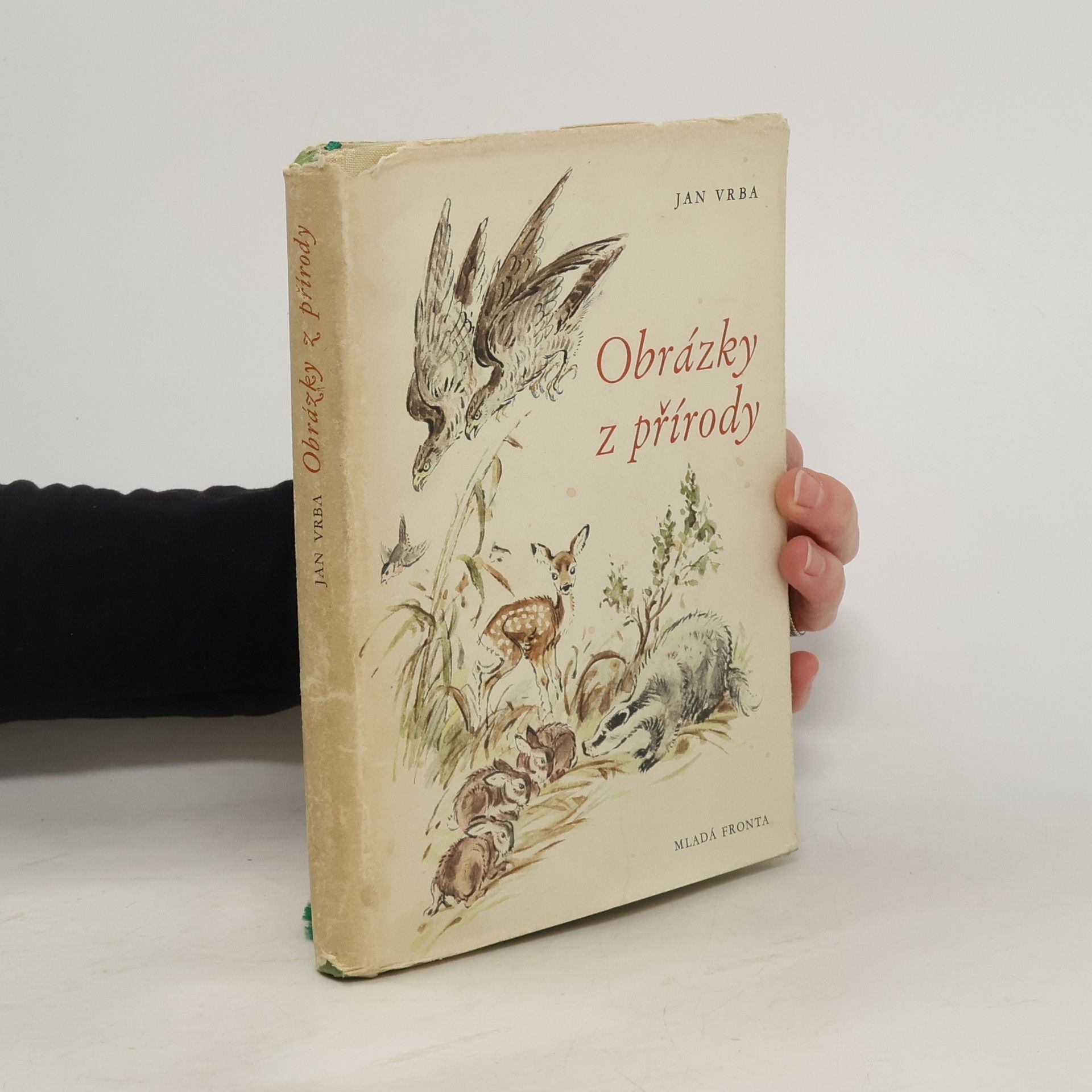 Obrázky z přírody