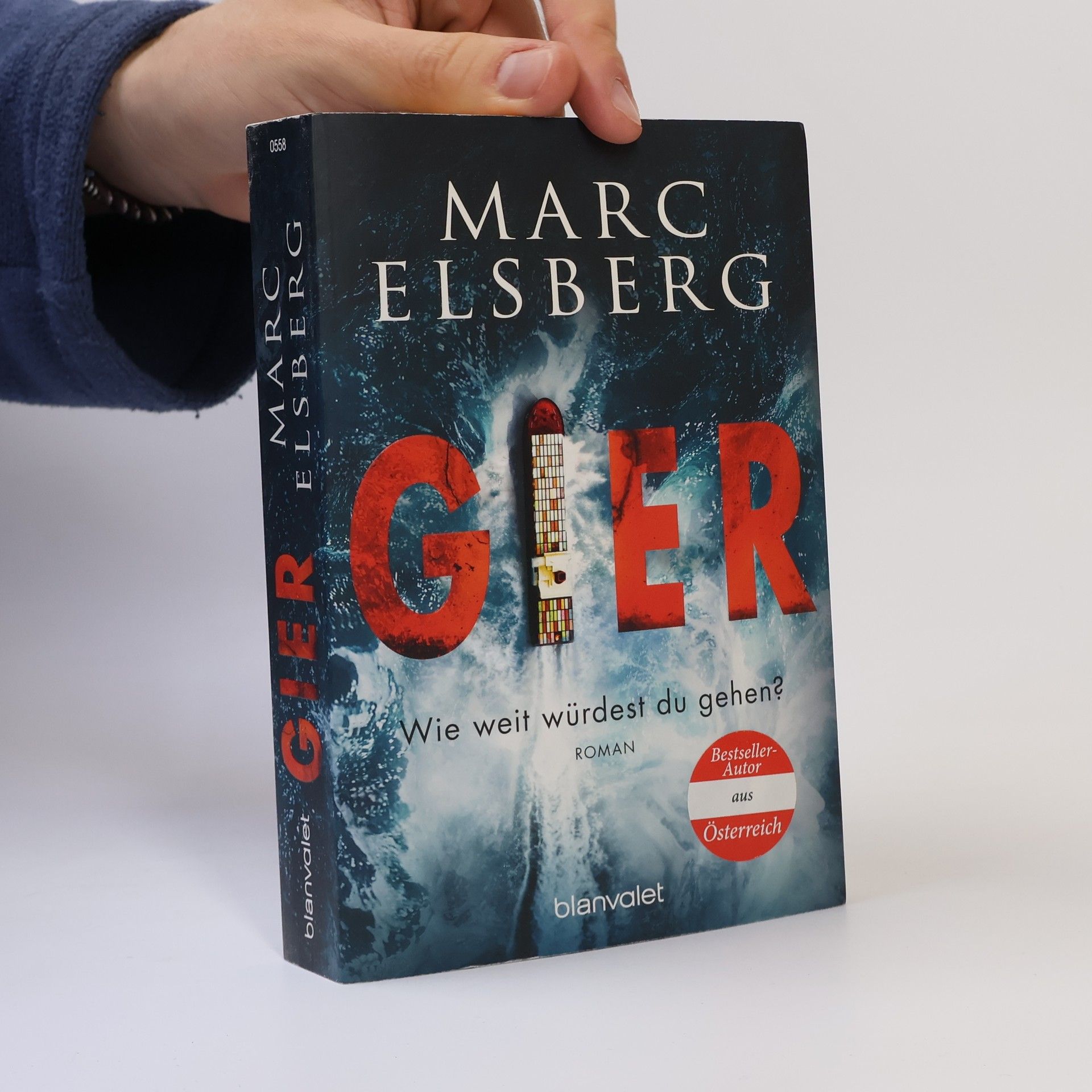 Marc Elsberg Gier