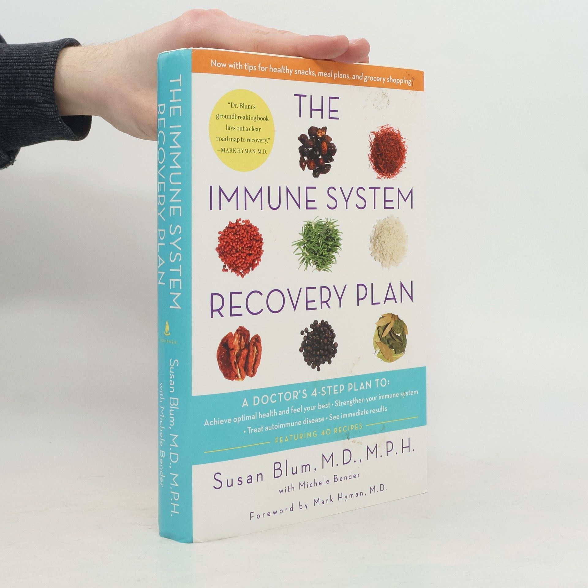 Susan Blum The Immune System Recovery Plan