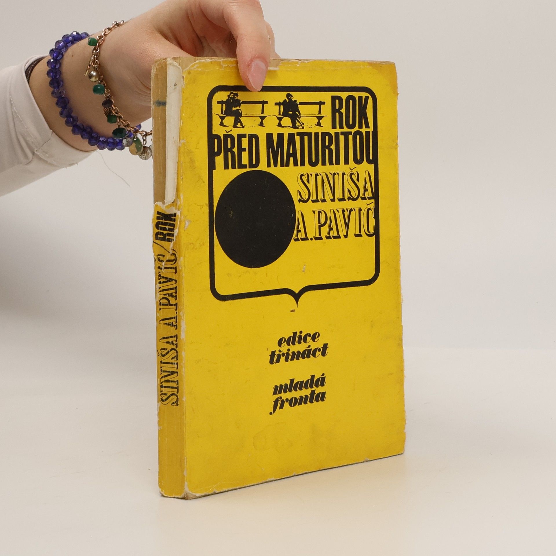 Siniša A. Pavič Rok před maturitou