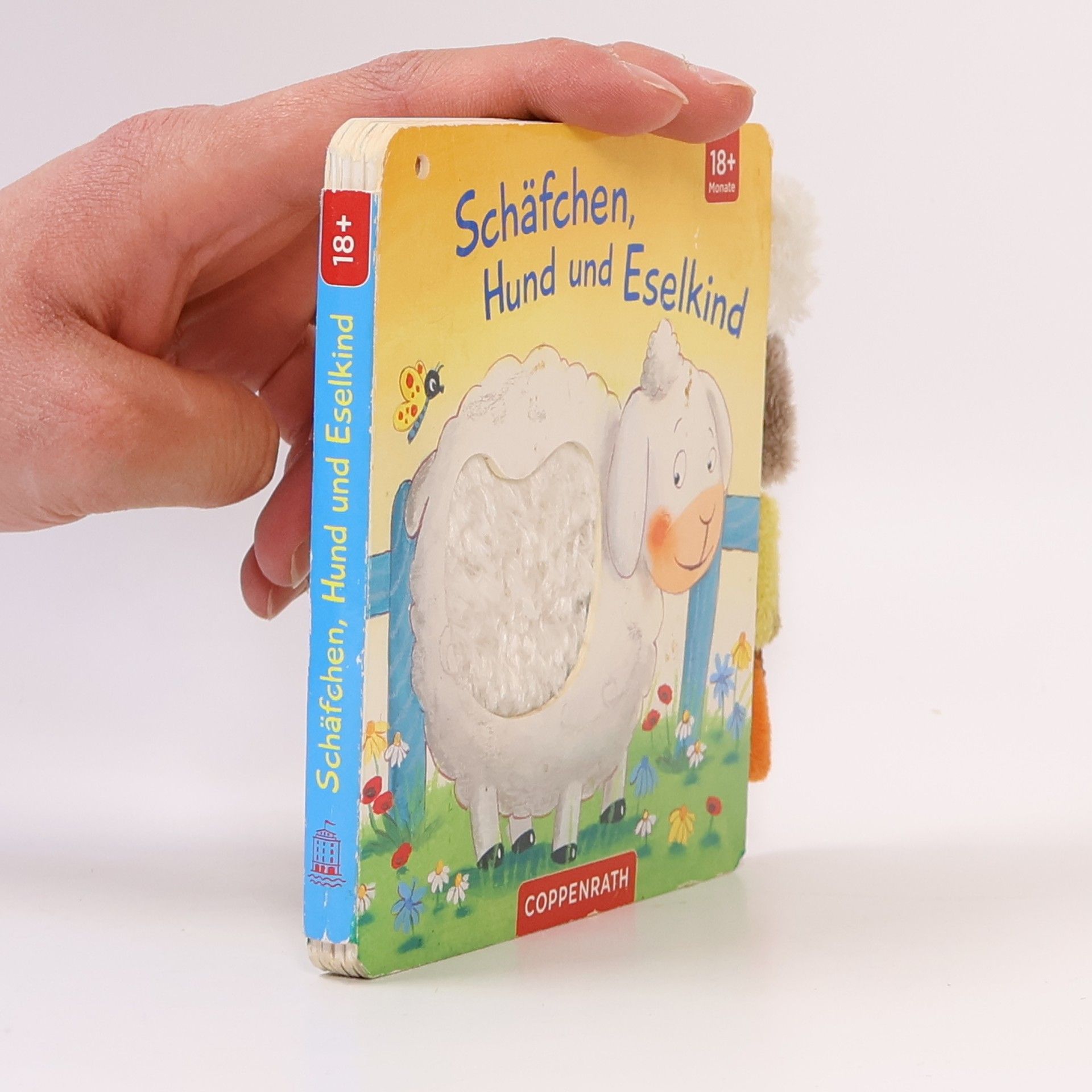 Sabine Kraushaar Mein Fühl-Laschenbuch