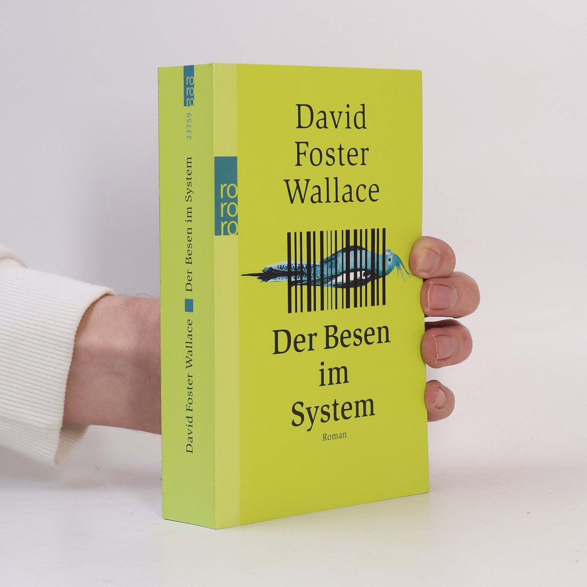 David Foster Wallace Der Besen im System