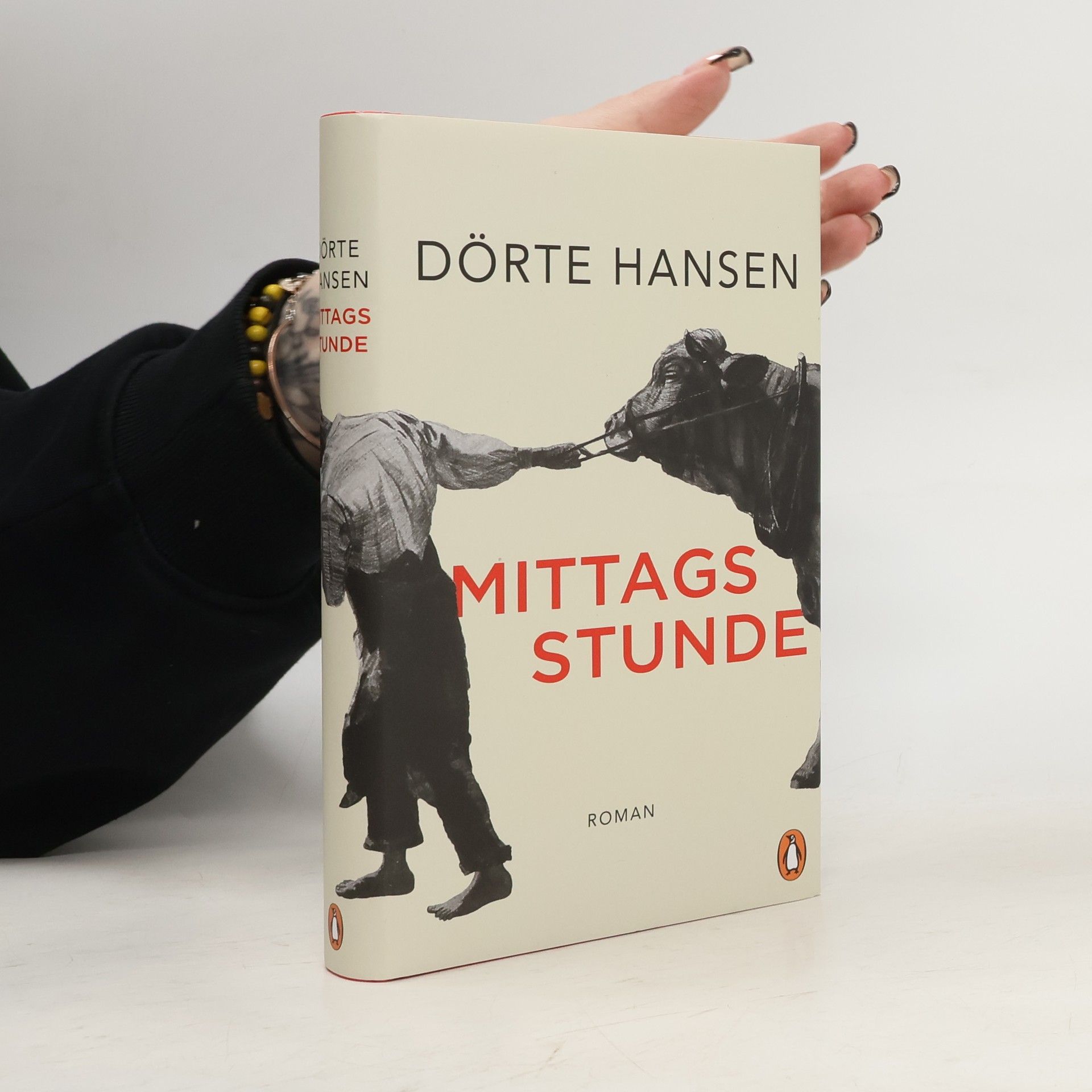 Dörte Hansen Mittagsstunde