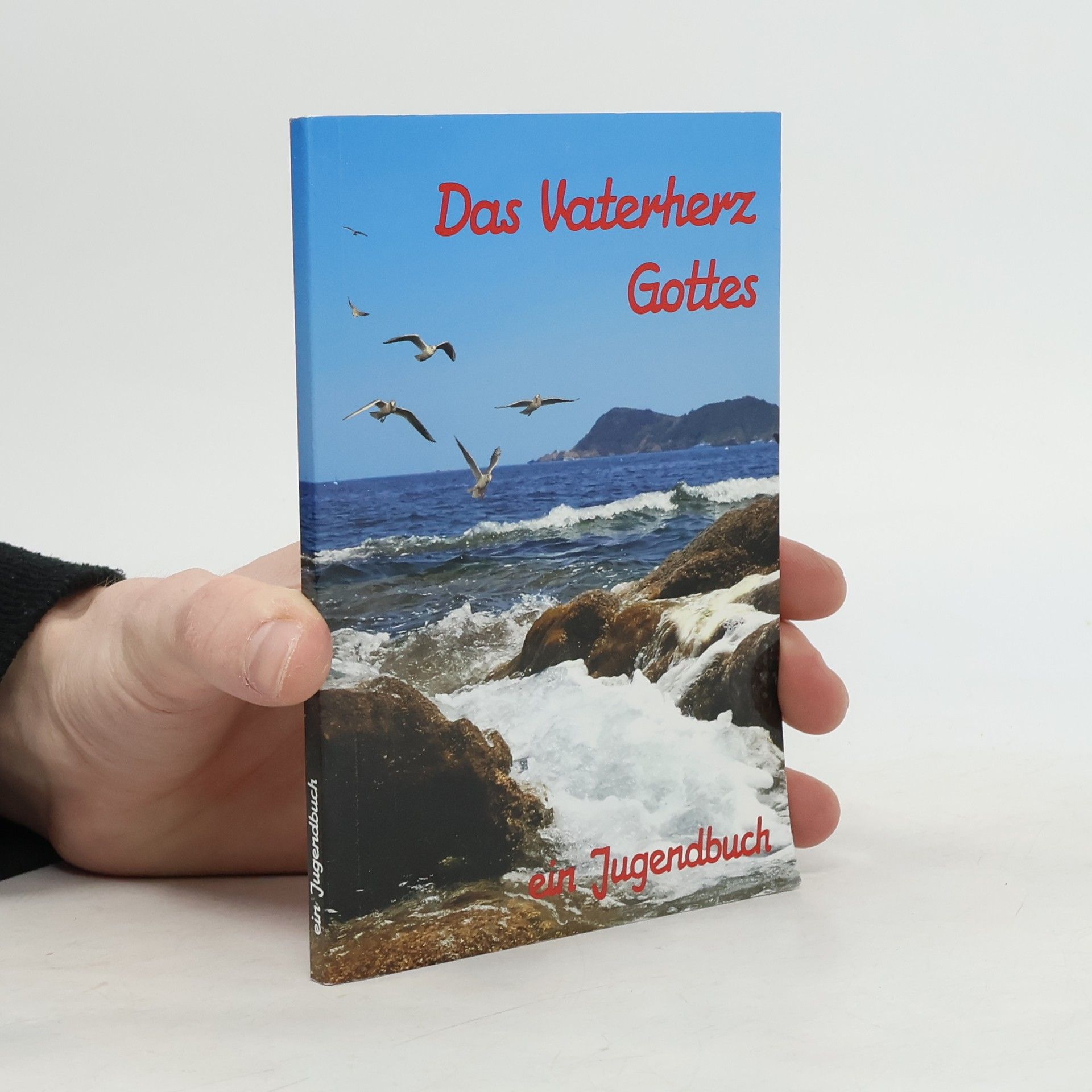 Herbert Madinger Das Vaterherz Gottes