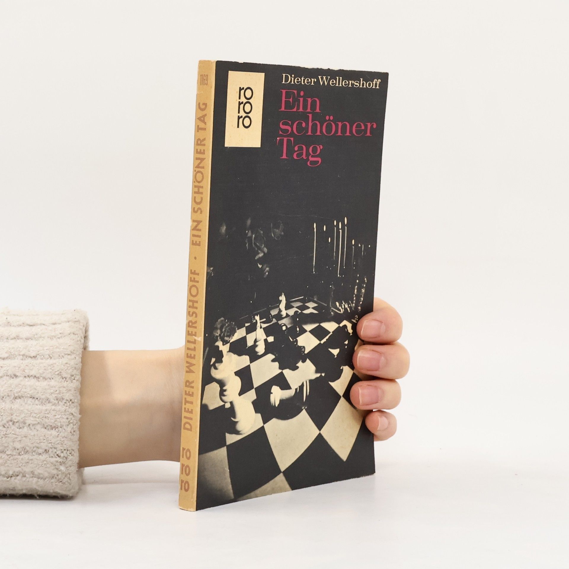 Dieter Wellershoff Ein schöner Tag