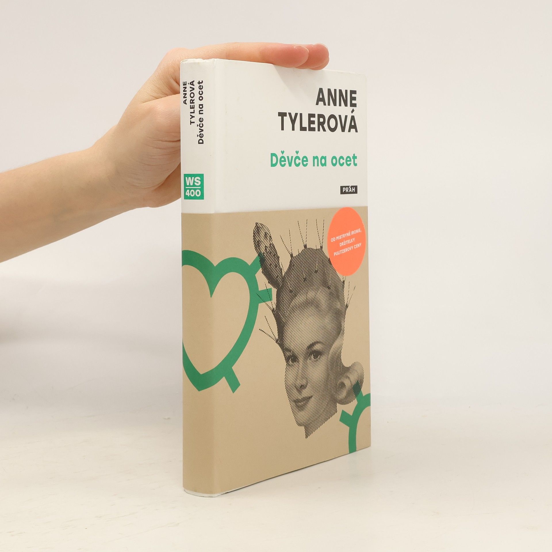Anne Tyler Děvče na ocet