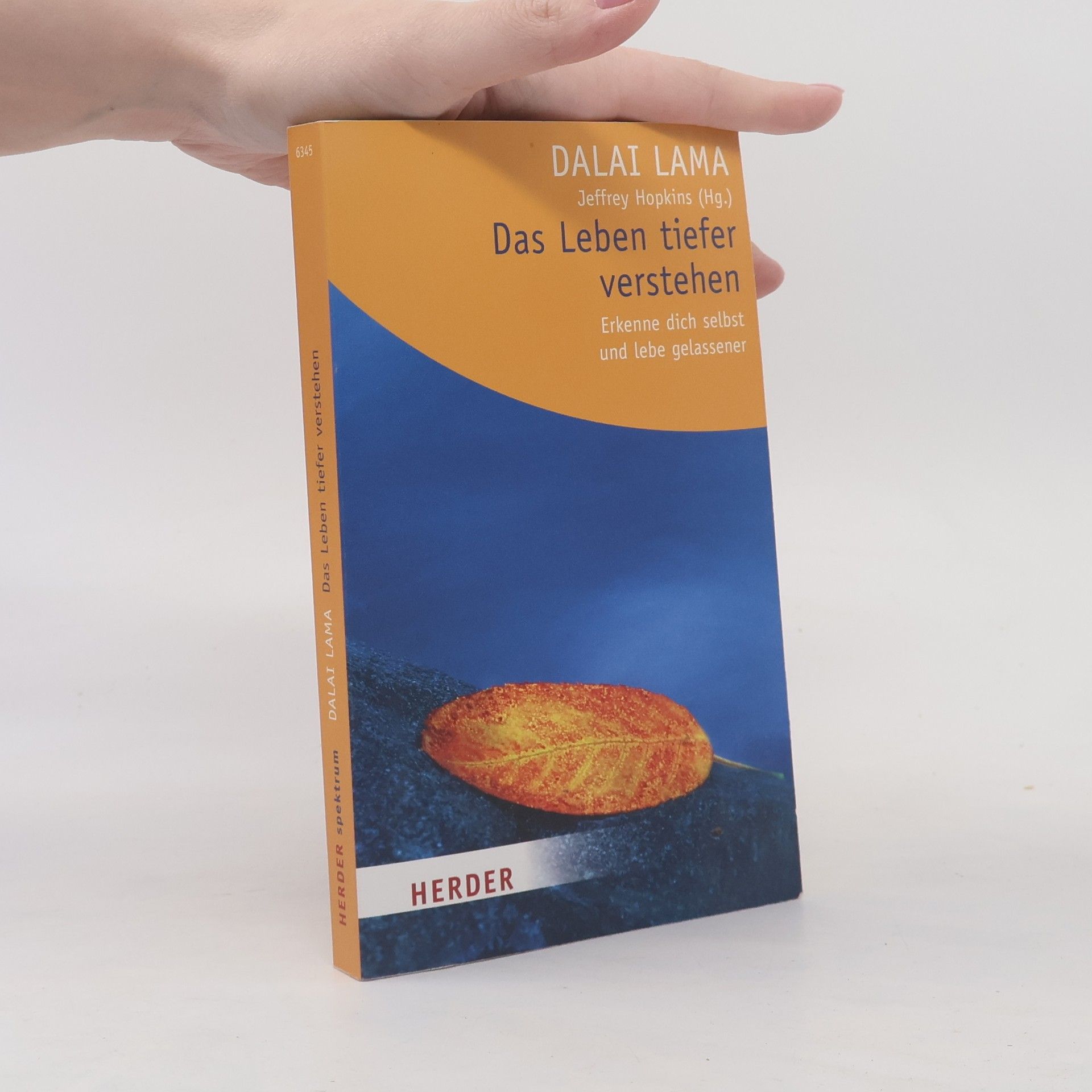 Dalai Lama XIV Bstan-ʼdzin-rgya-mtsho Das Leben tiefer verstehen