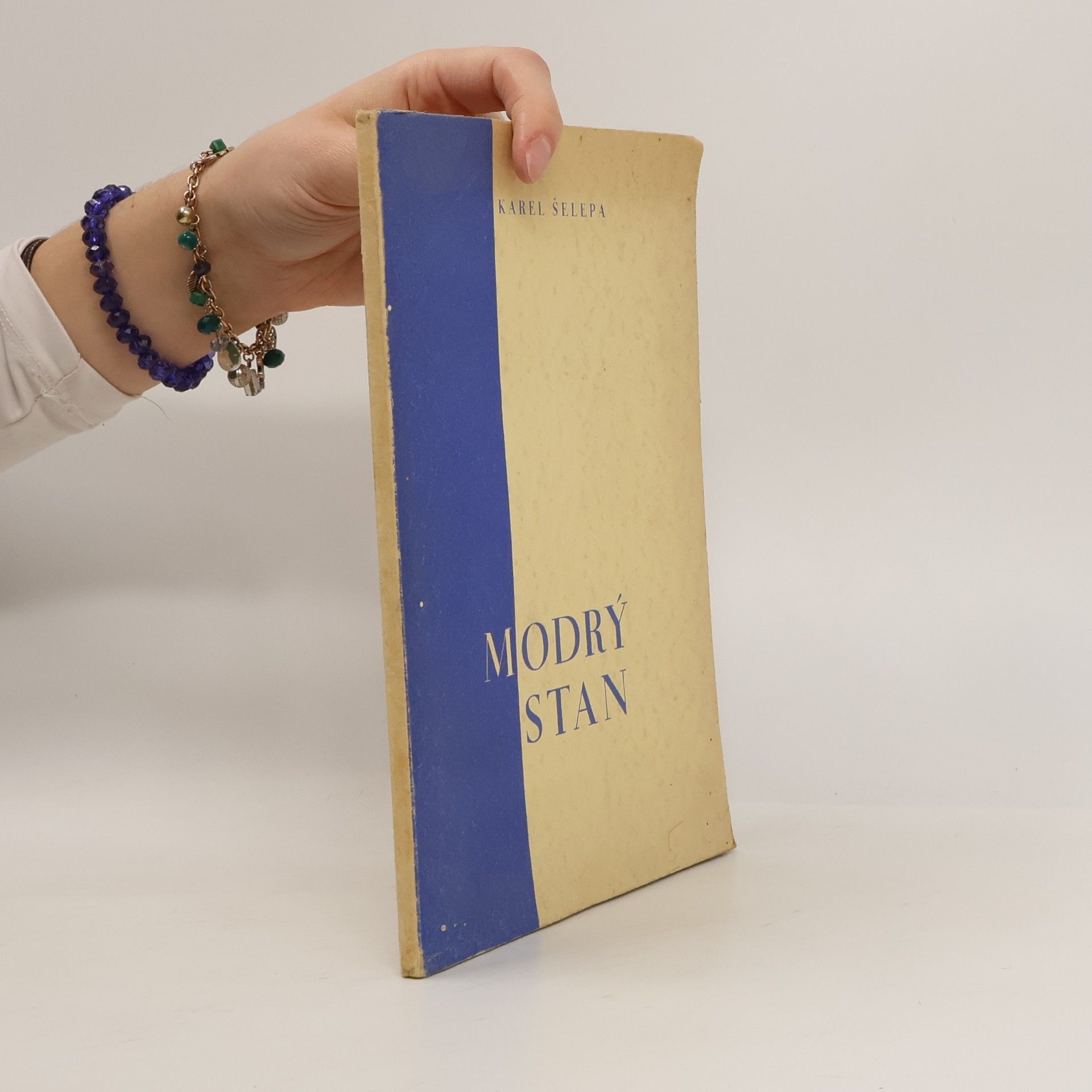 Šelepa Karel Modrý stan