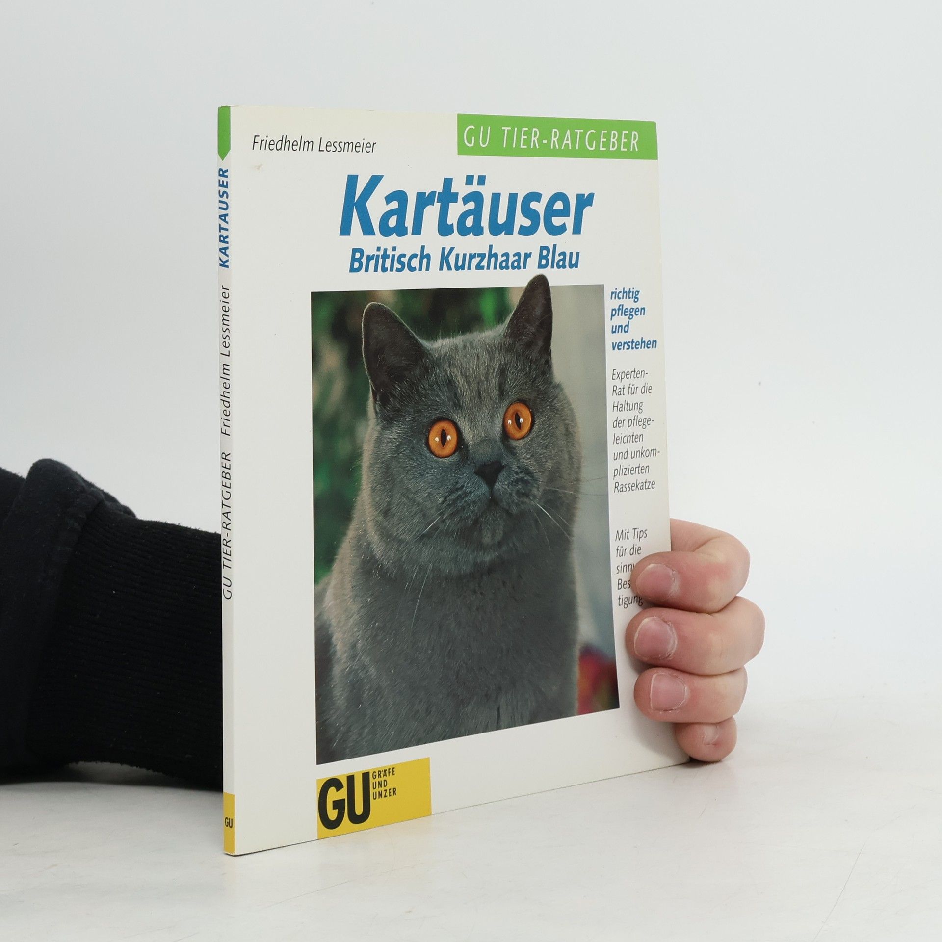 Friedhelm Lessmeier Kartäuser - Britisch Kurzhaar Blau richtig pflegen und verstehen