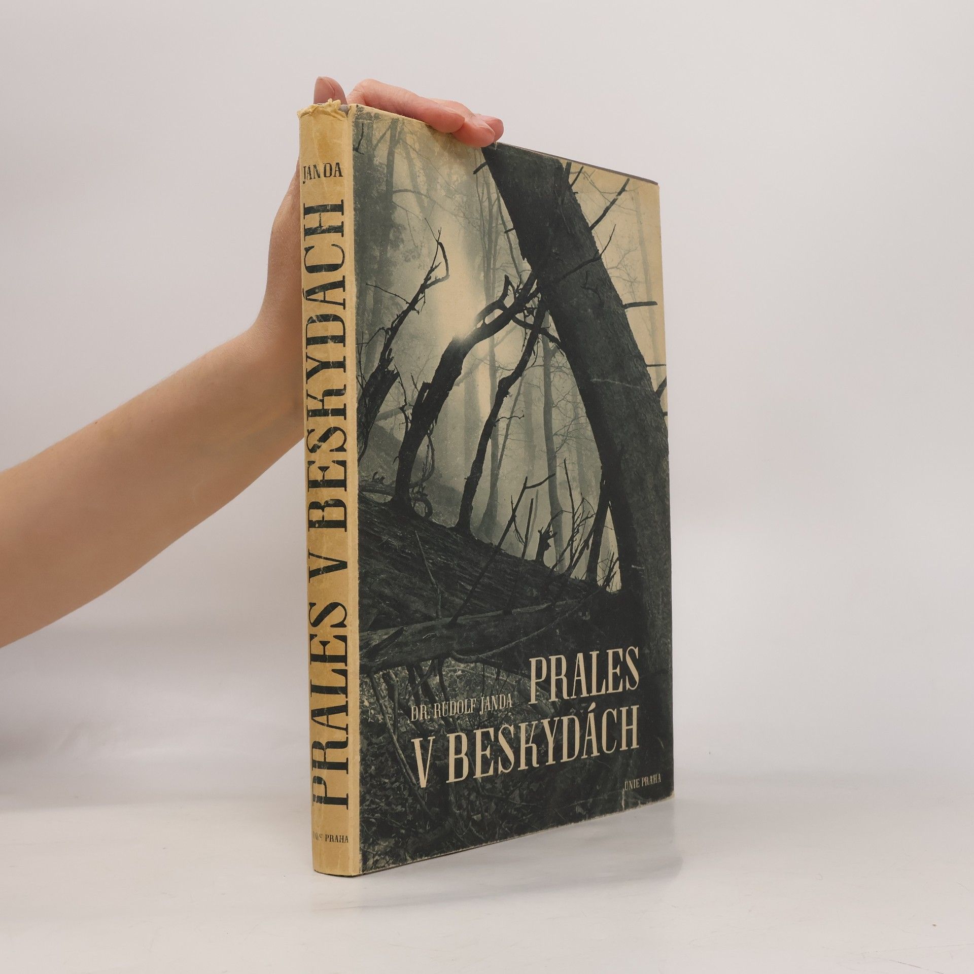 Rudolf Janda Prales v Beskydách