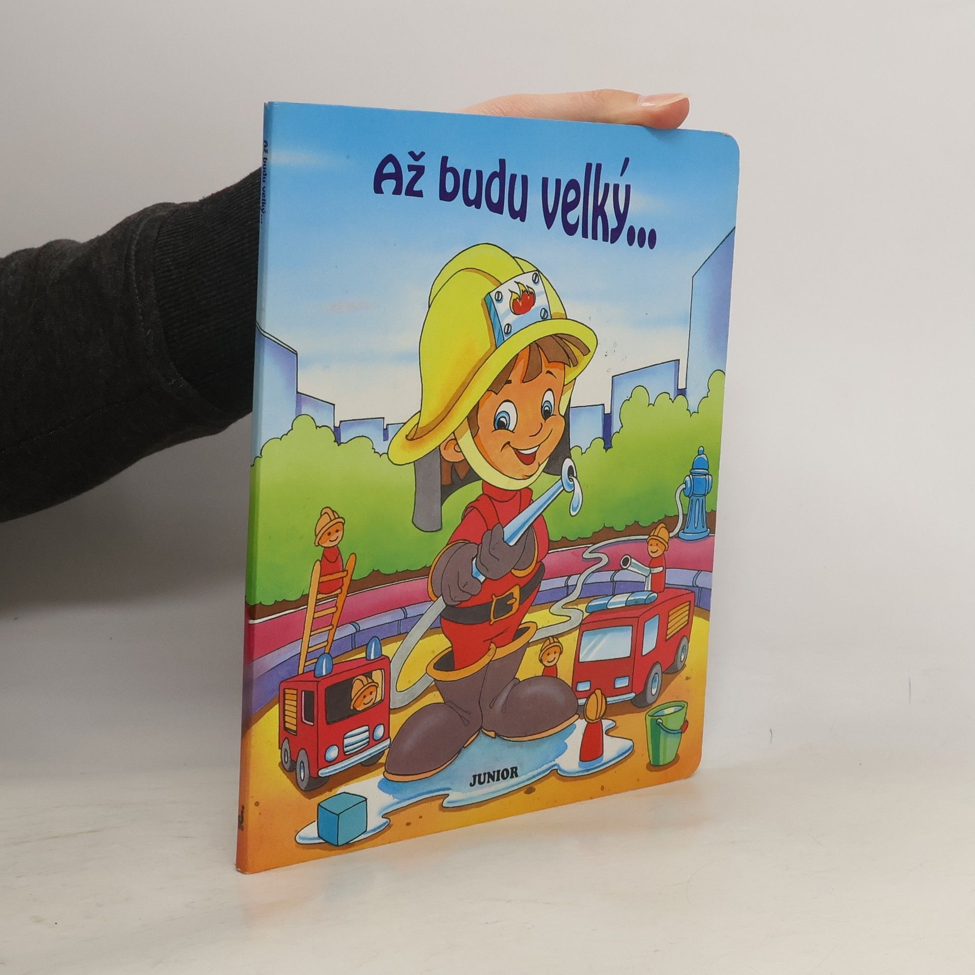 Dana Winklerová Až budu velký...