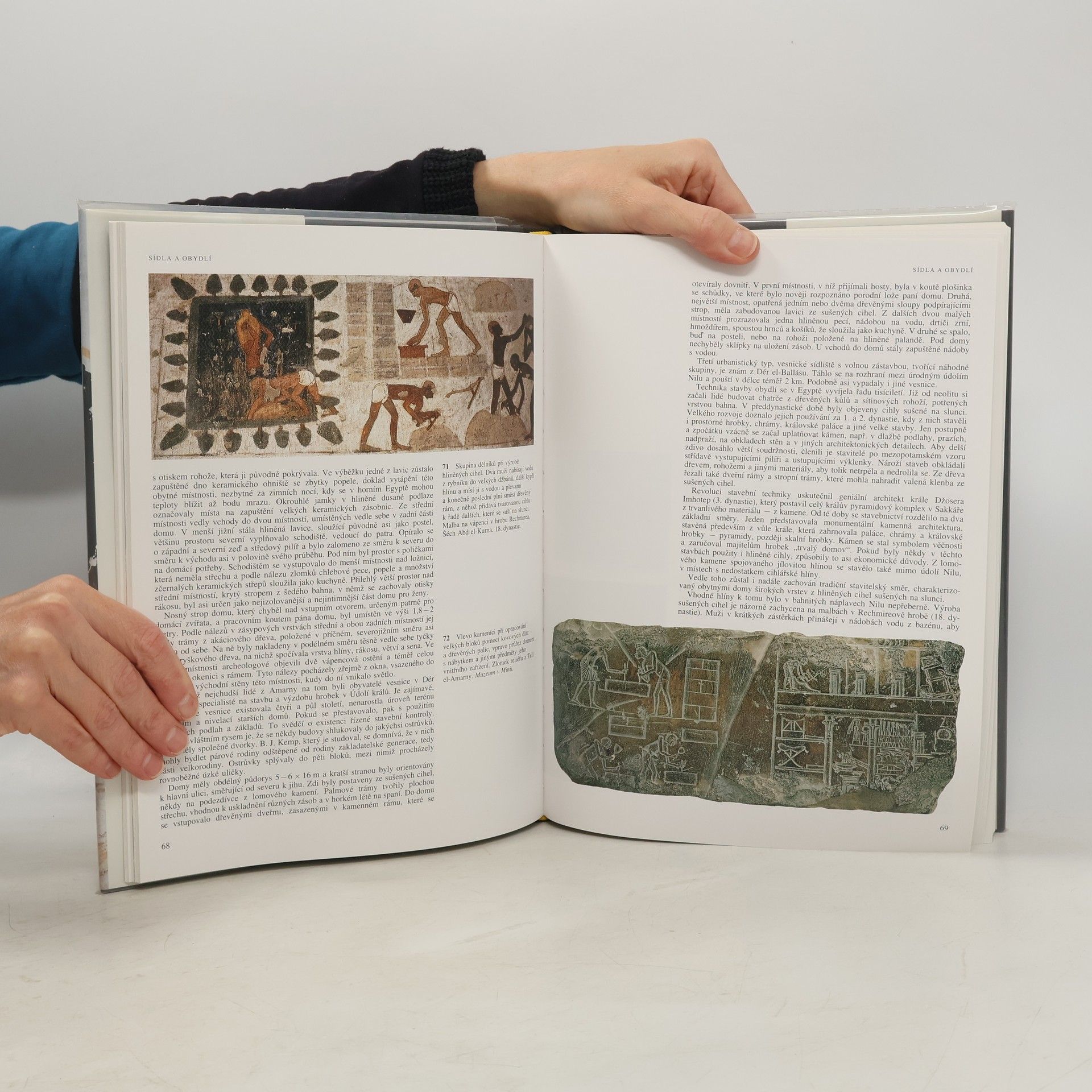 Evžen Strouhal Život starých Egypťanů