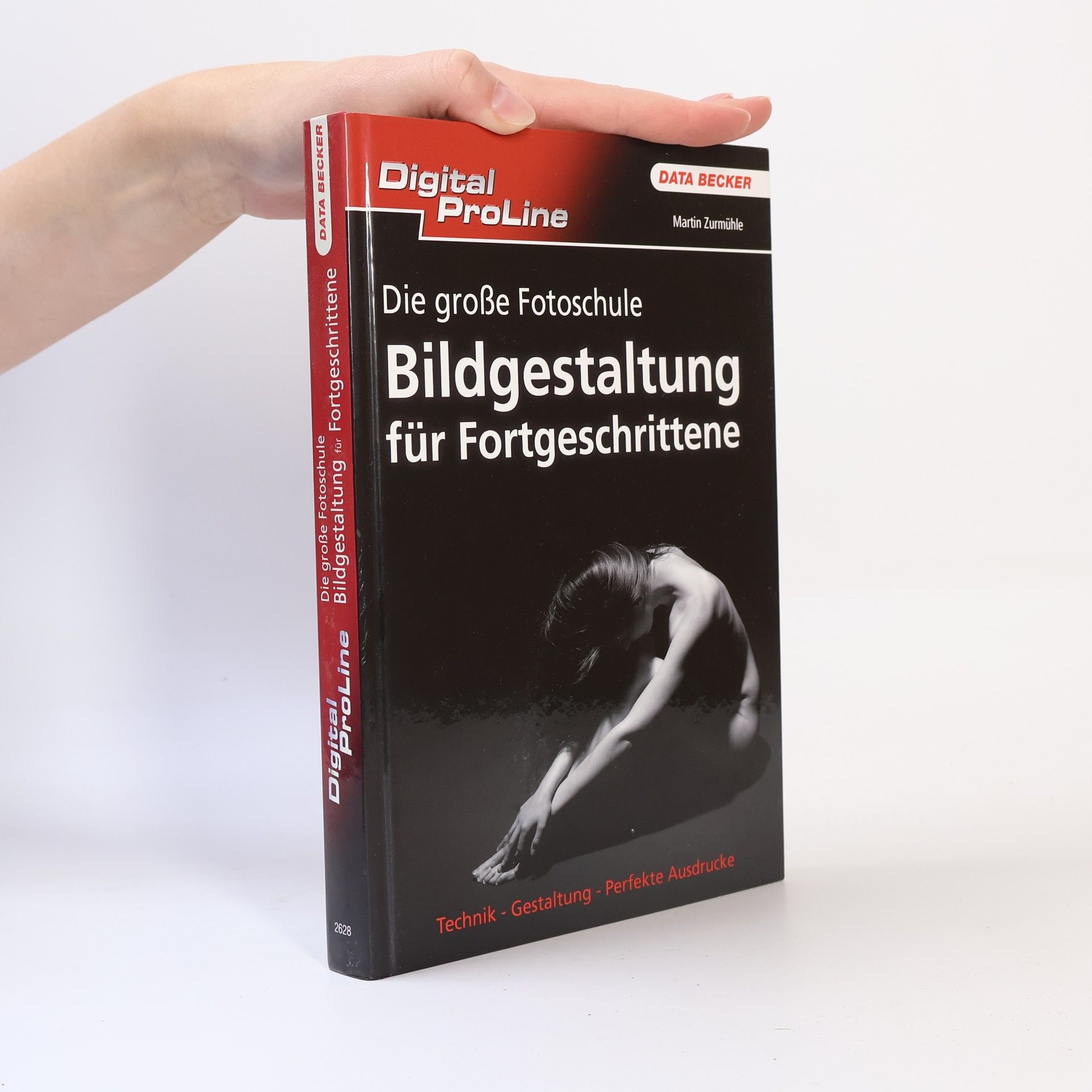 Martin Zurmühle Die große Fotoschule