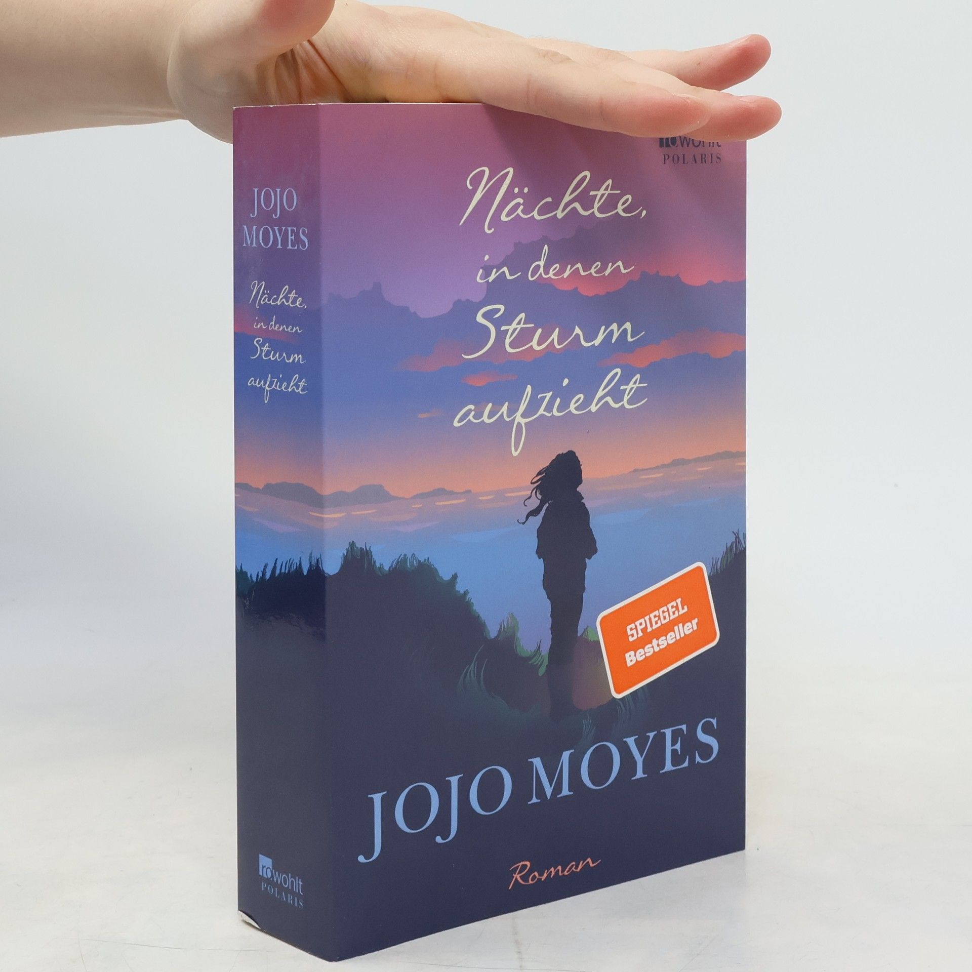 Jojo Moyes Nächte in denen Sturm aufzieht