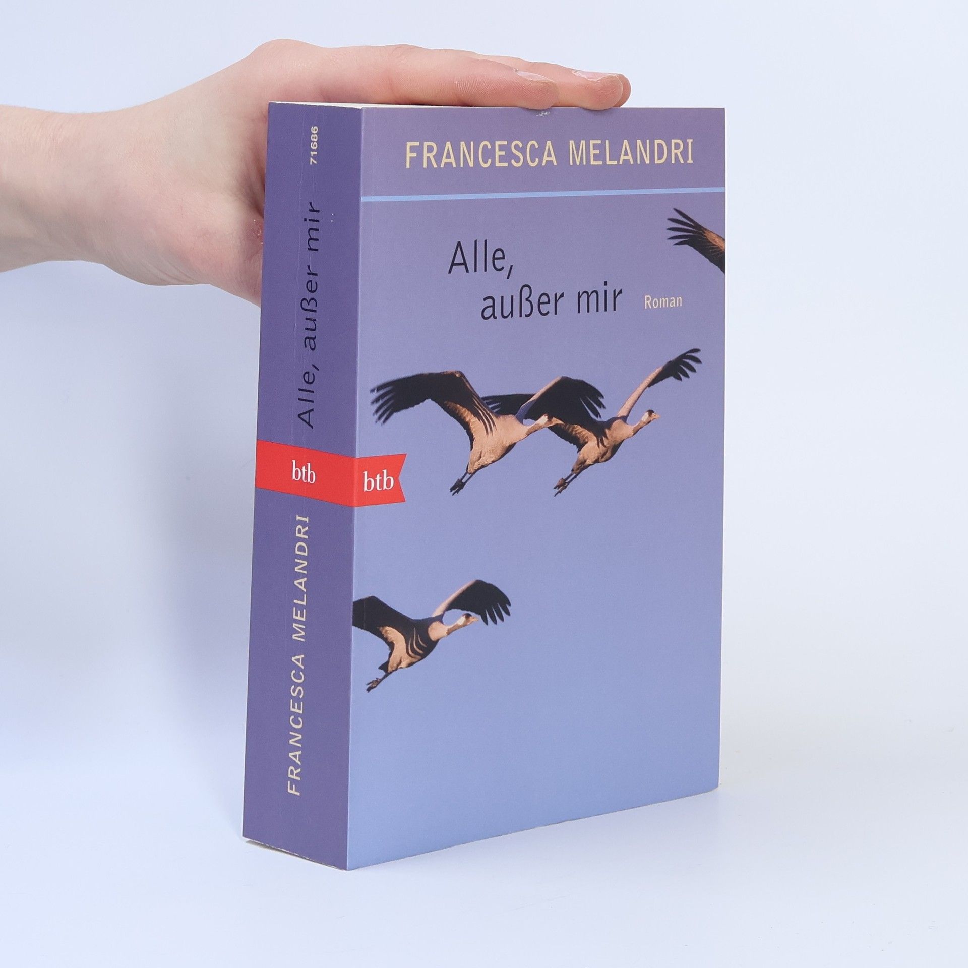 Francesca Melandri Alle, außer mir