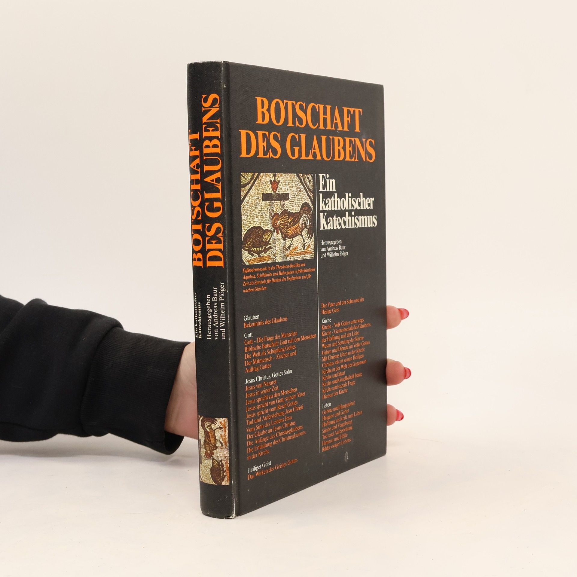 Andreas Baur Botschaft des Glaubens. Ein katholischer Katechismus