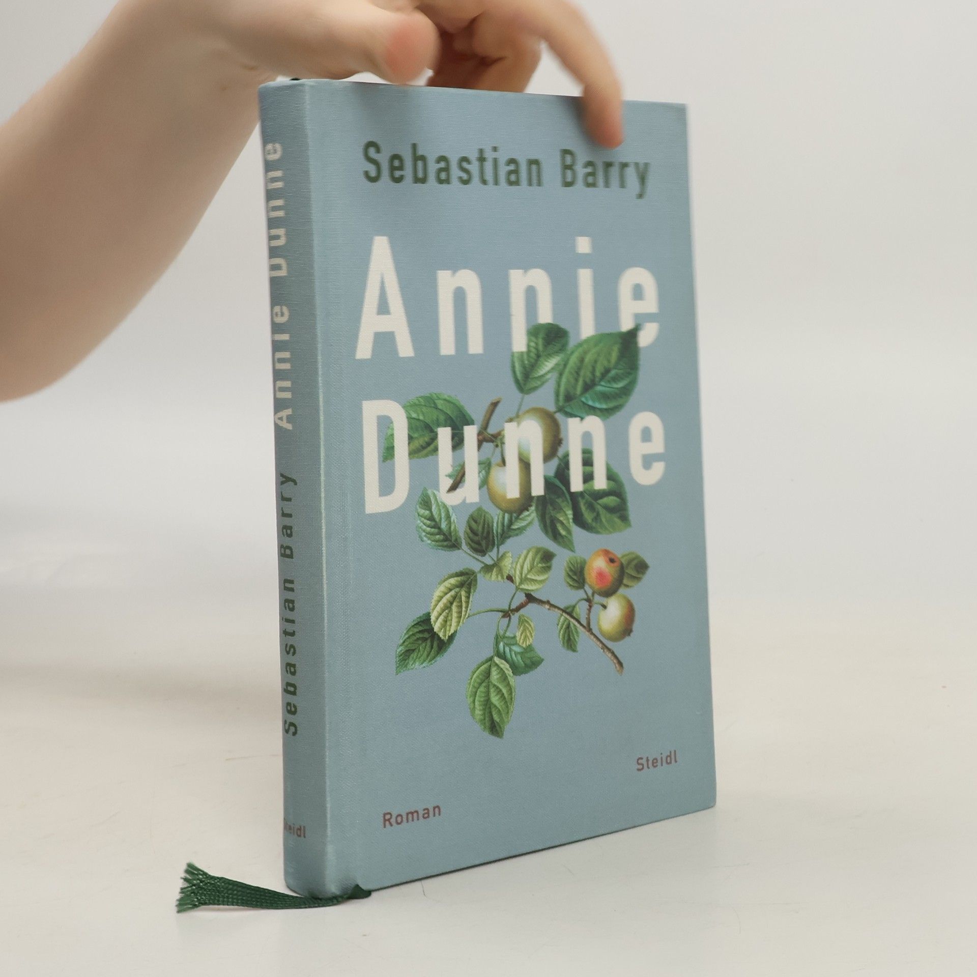 Sebastian Barry Annie Dunne