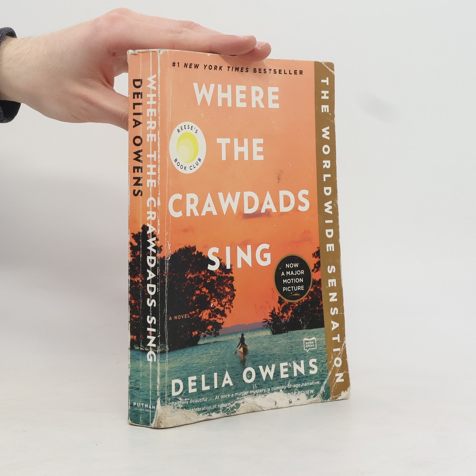 Delia Owens Where the Crawdads Sing