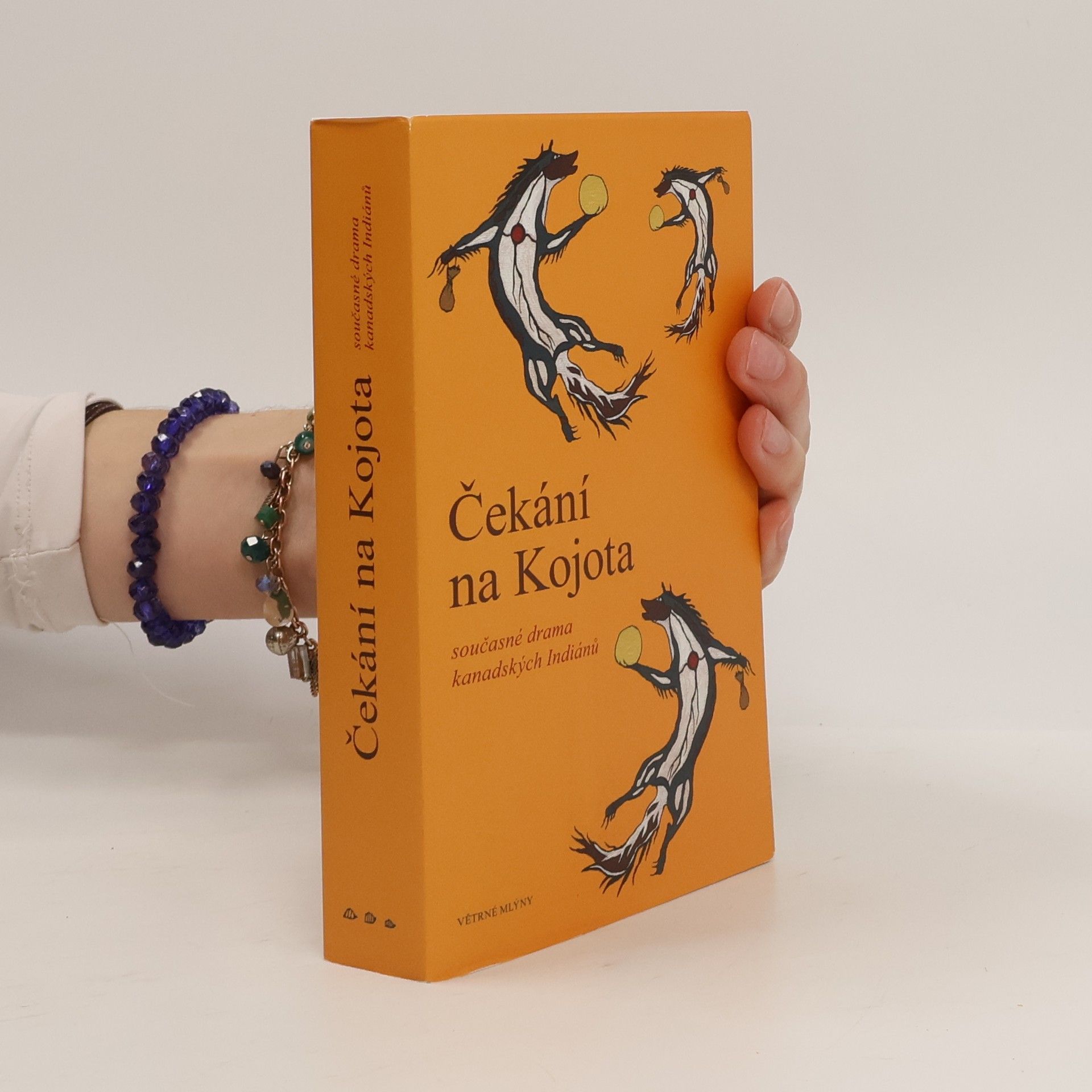 * antologie Čekání na Kojota