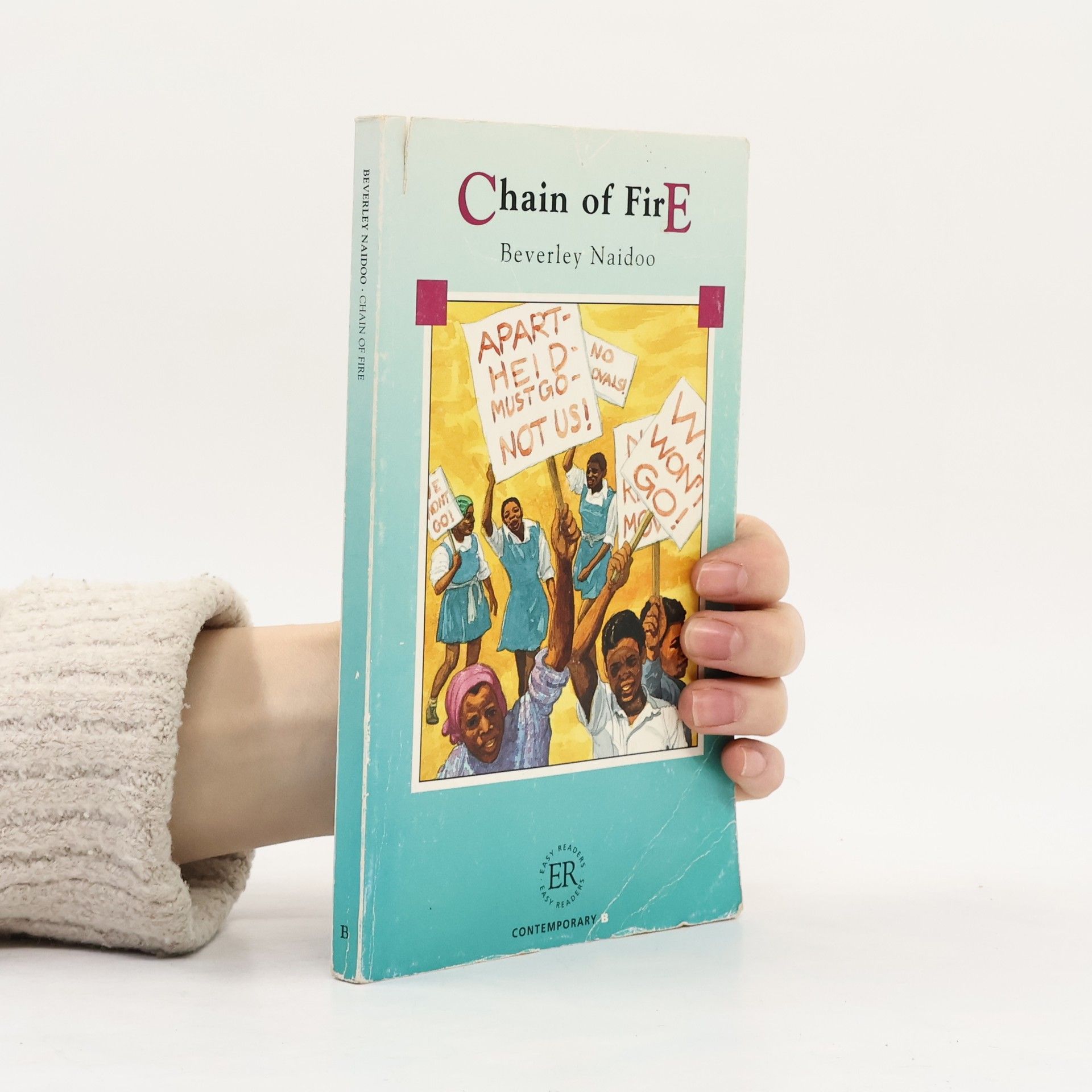 Beverley Naidoo Chain of Fire