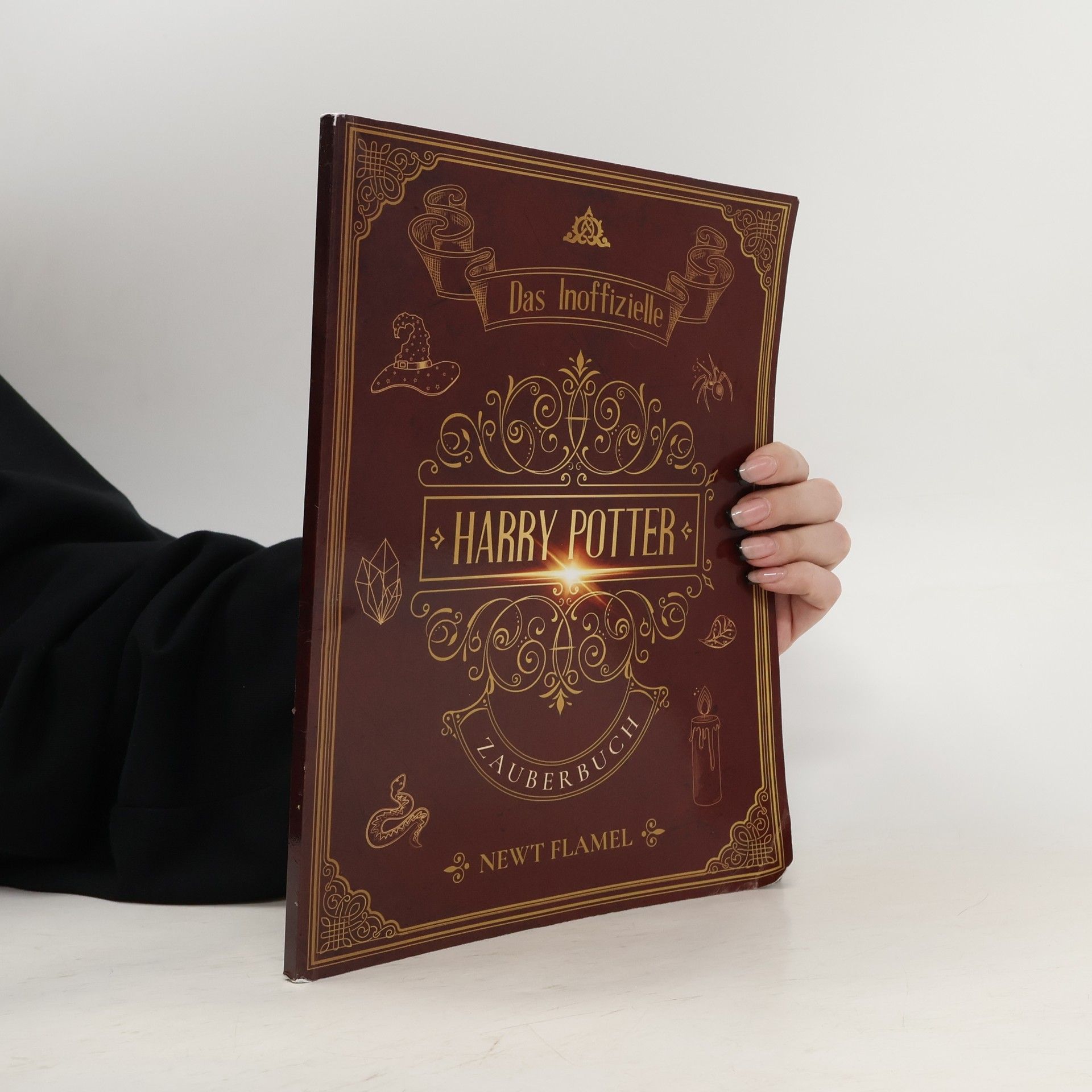 Harry Potter Zauberbuch