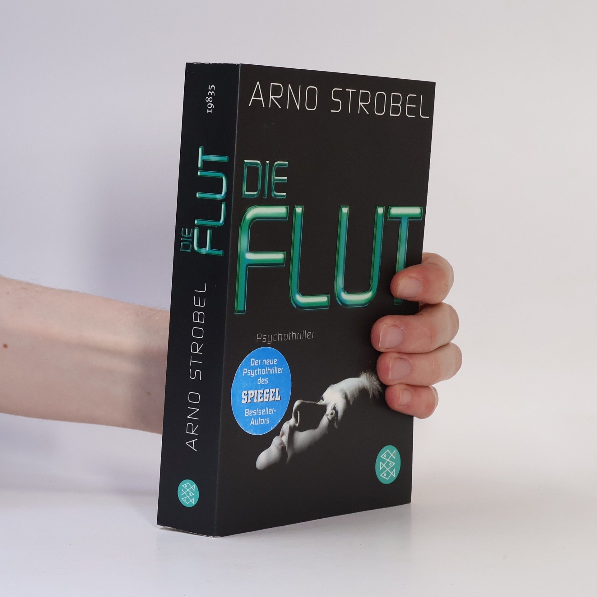 Arno Strobel Die Flut