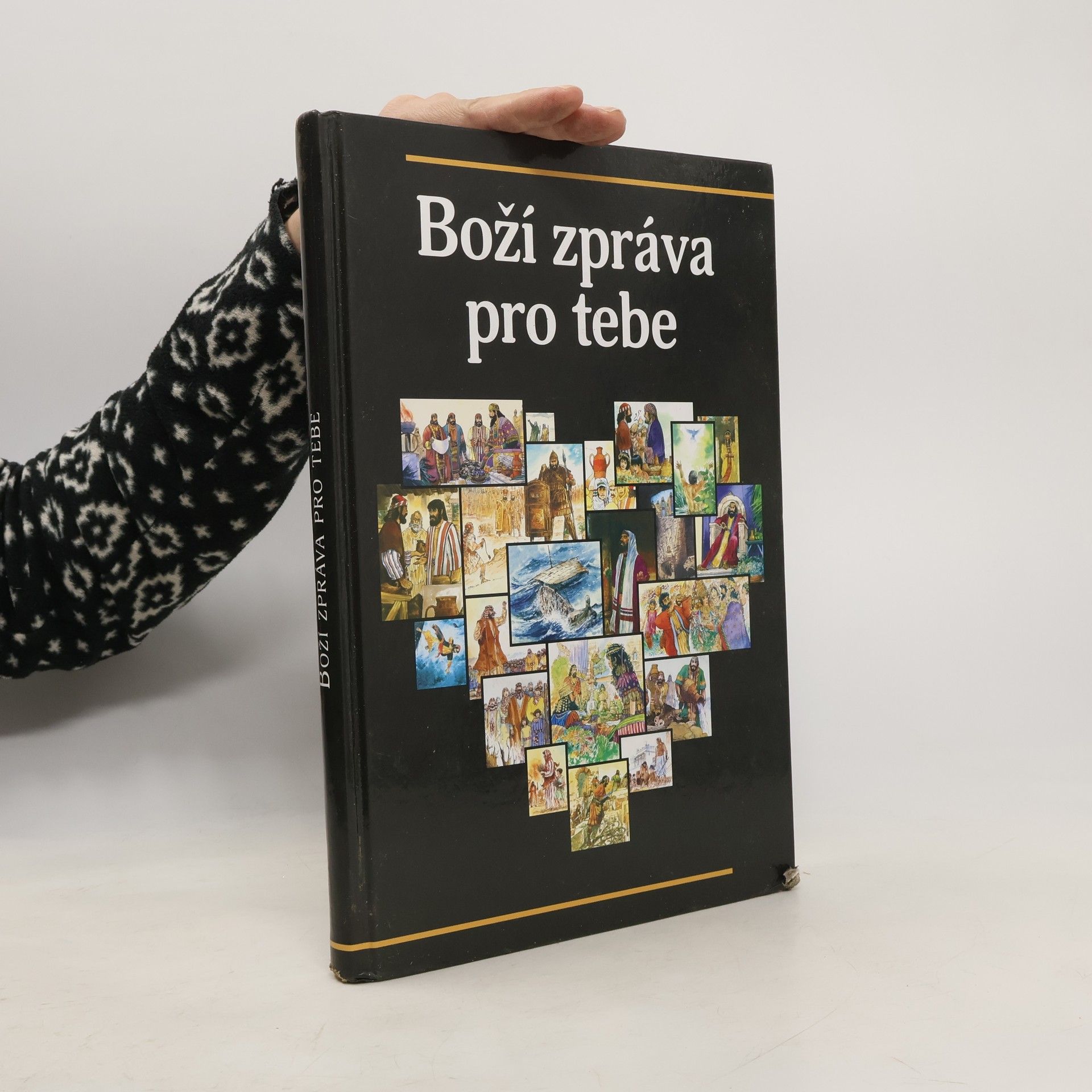 Lynn Camp Boží zpráva pro tebe
