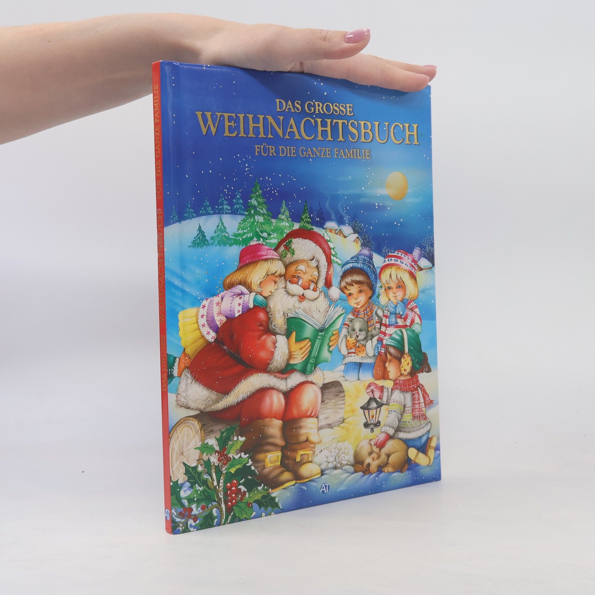Autorenkollektiv Das große Weihnachtsbuch für die ganze Familie