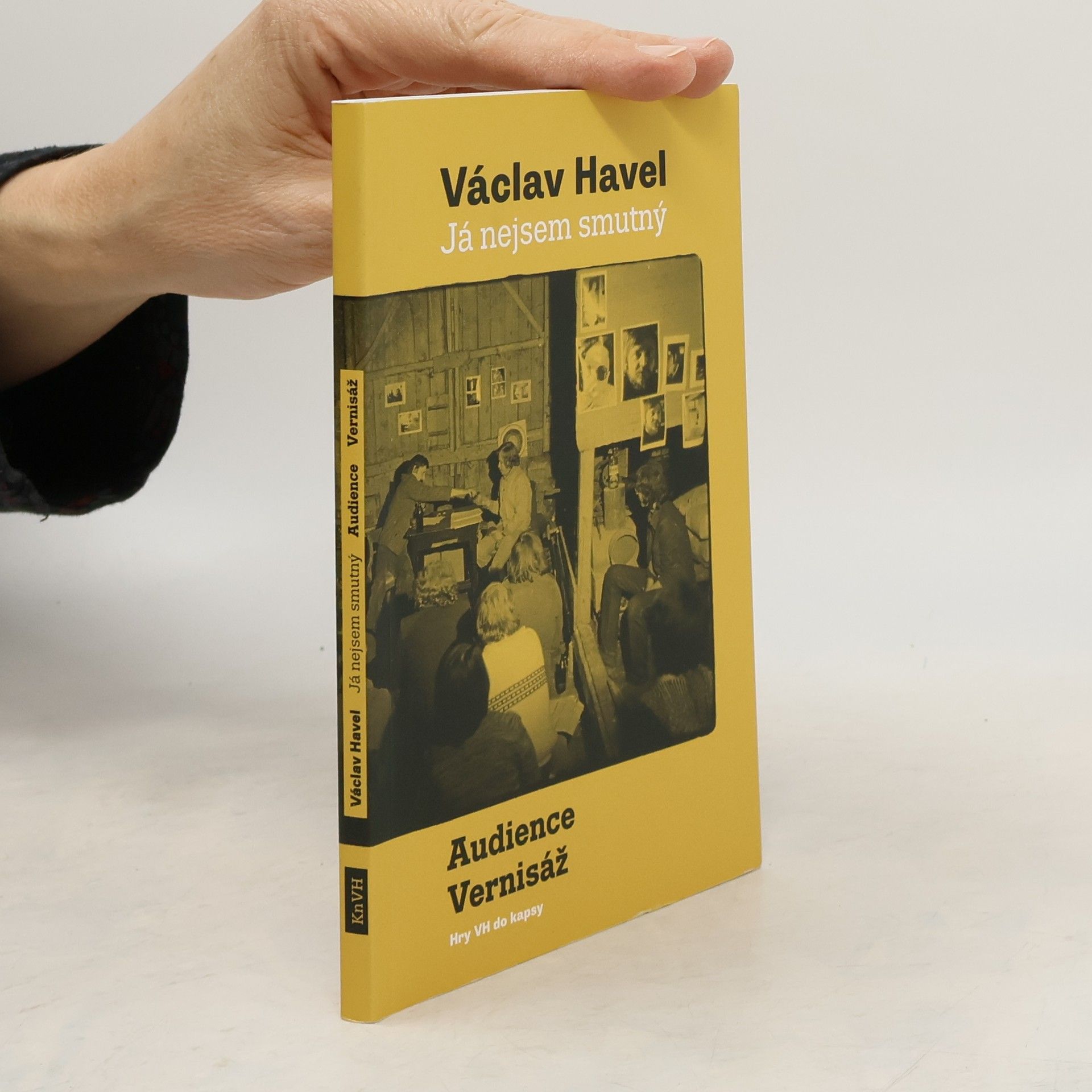 Václav Havel Já nejsem smutný: Audience, Vernisáž