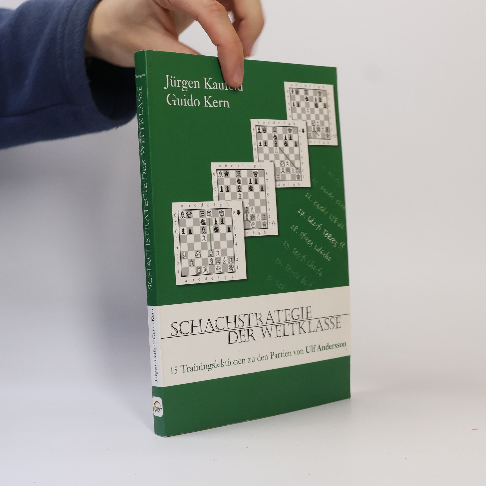 Guido Kern Schachstrategie der Weltklasse