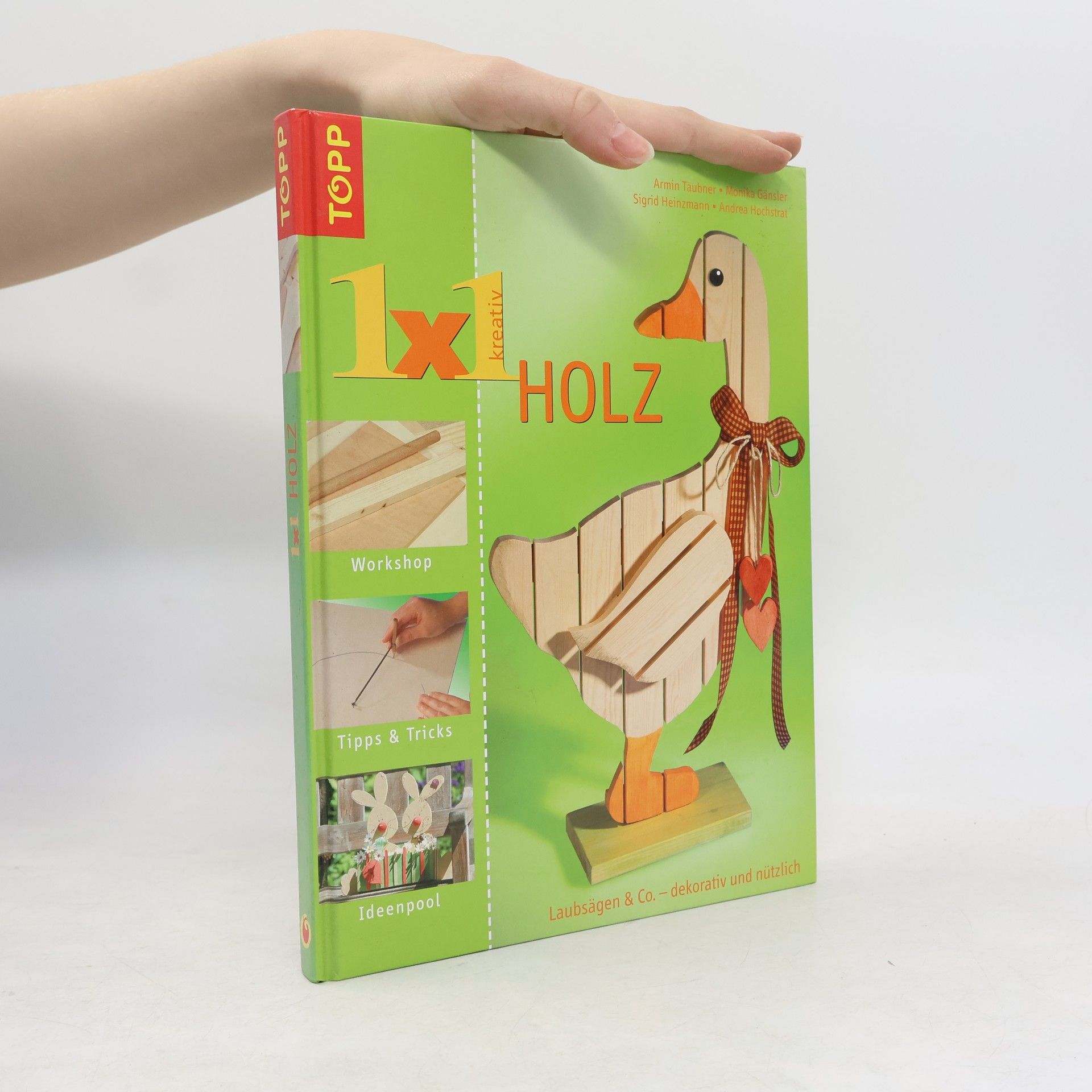 Armin Täubner 1x1 kreativ Holz