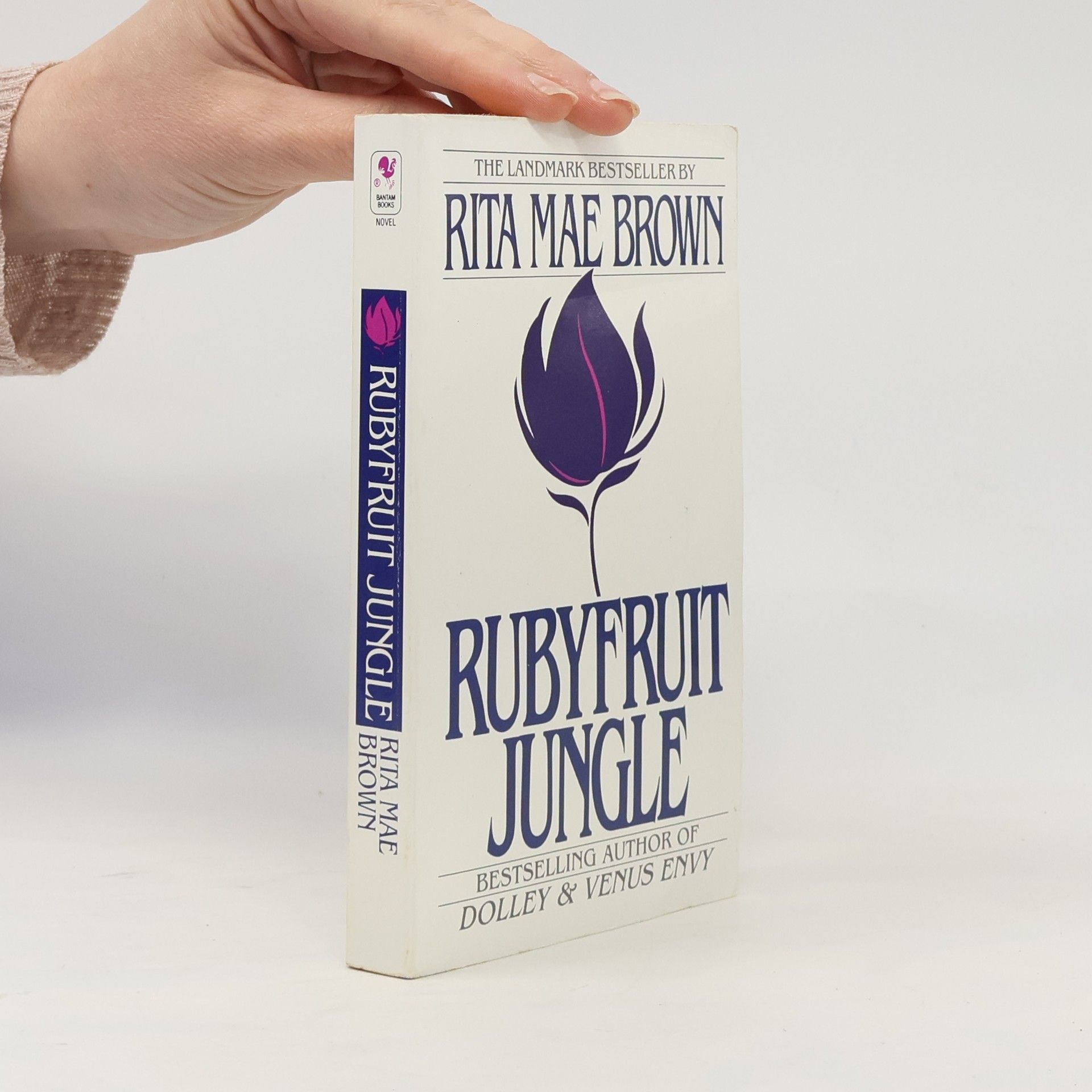 Rita Mae Brown Rubyfruit Jungle