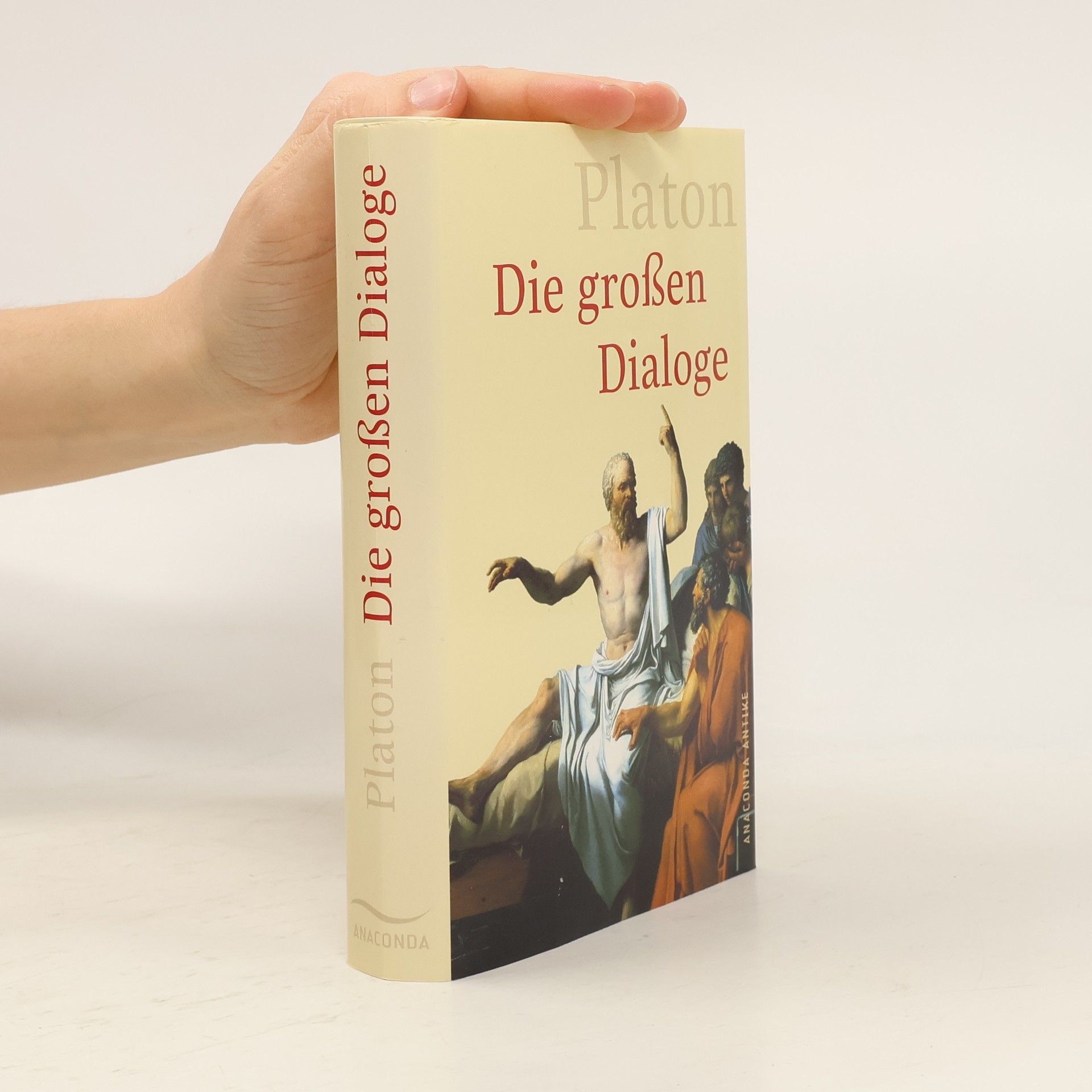 Platon Die großen Dialoge