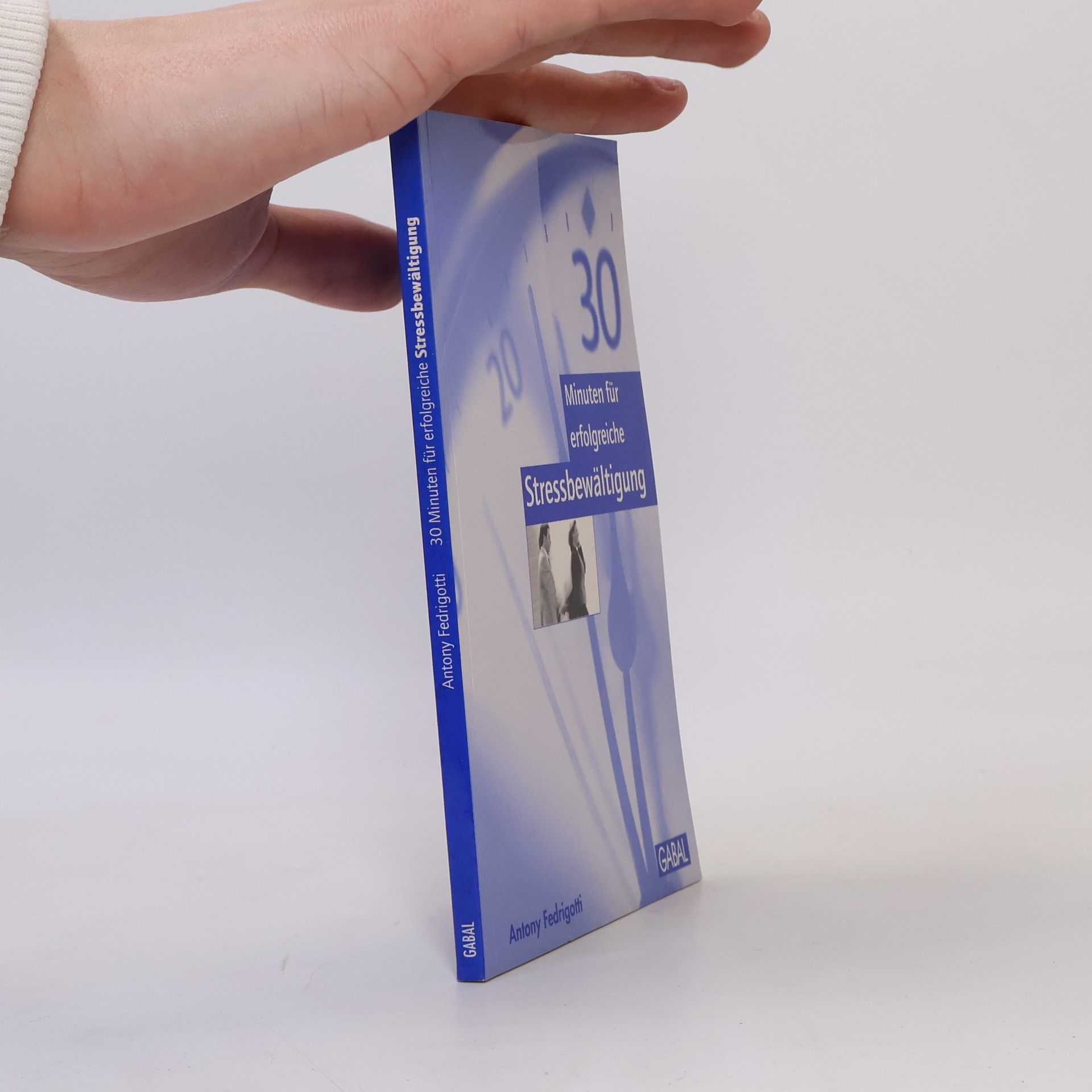 Antony Fedrigotti 30 Minuten für erfolgreiche Stressbewältigung
