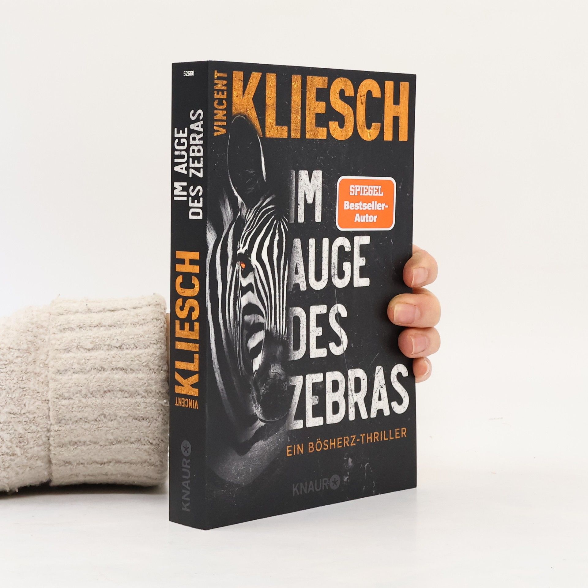 Vincent Kliesch Im Auge des Zebras