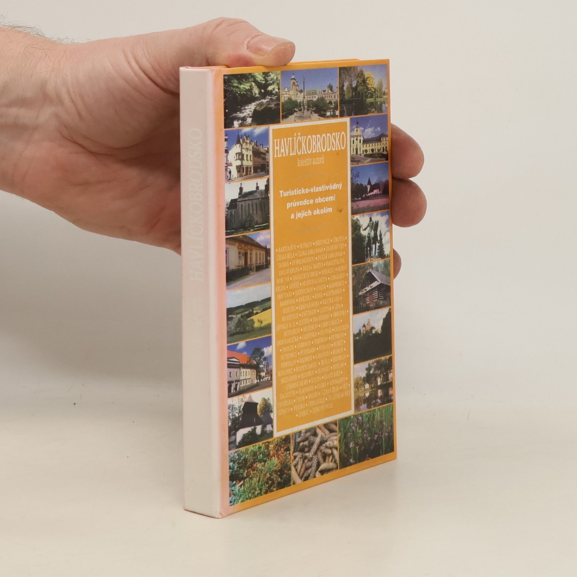 Various authors Havlíčkobrodsko