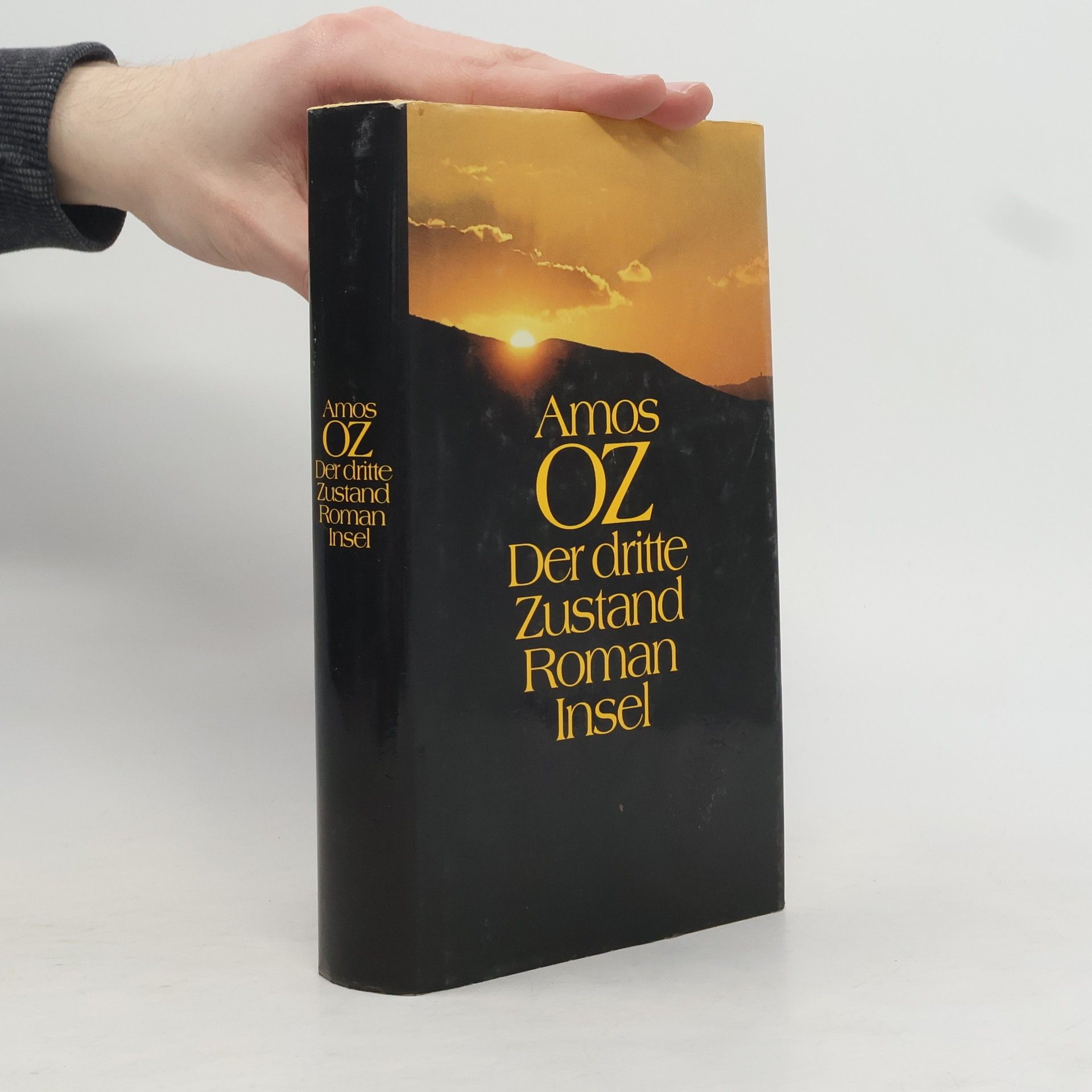 Amos Oz Der dritte Zustand