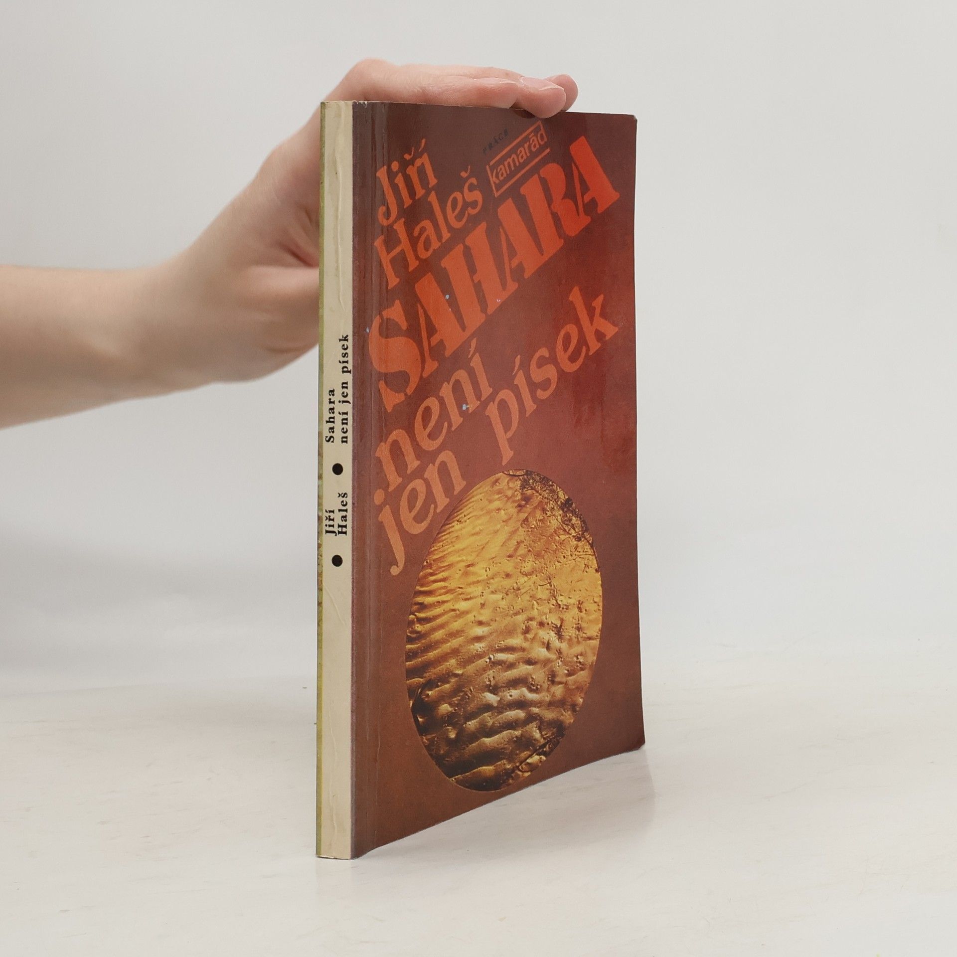 Jiří Haleš Sahara není jen písek
