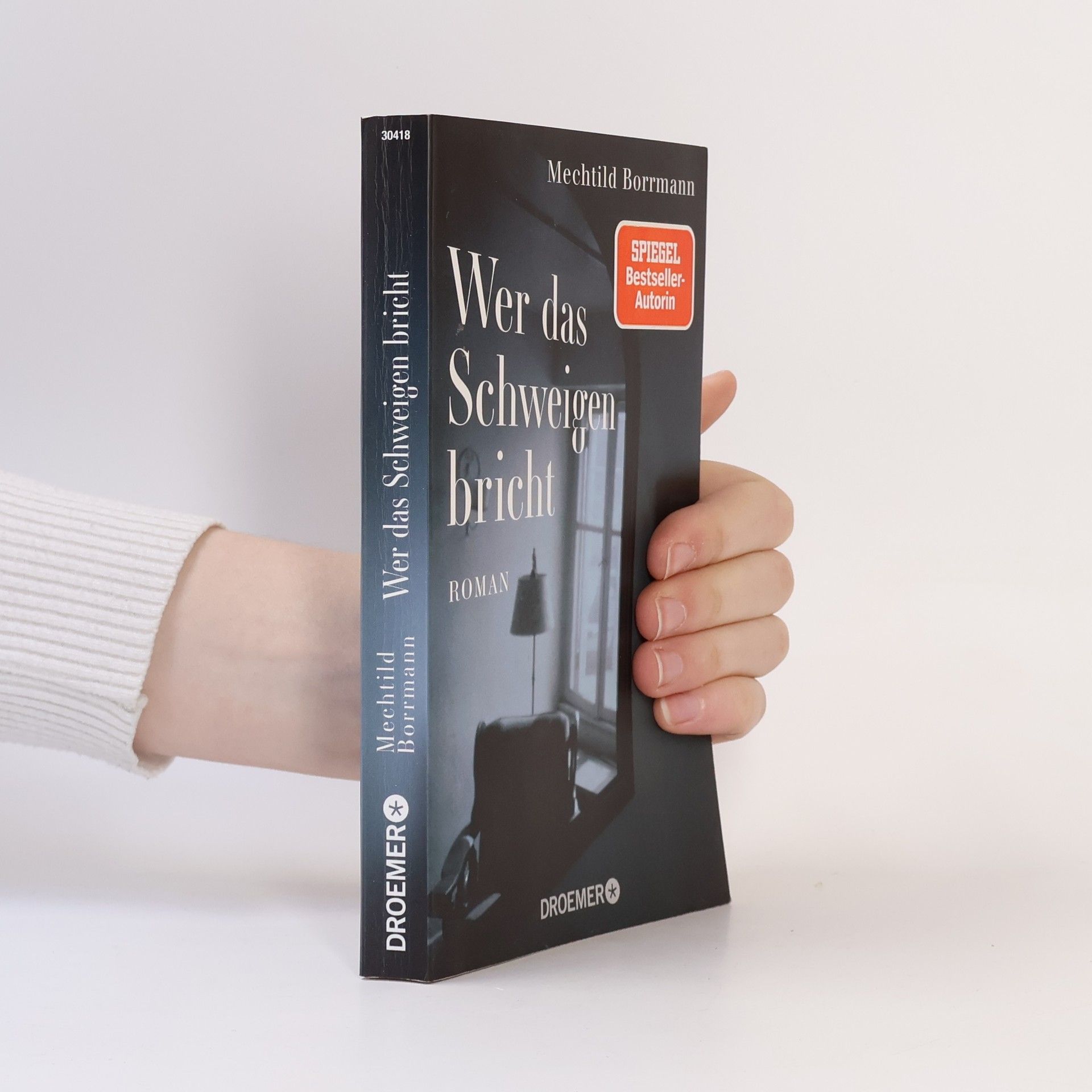 Mechtild Borrmann Wer das Schweigen bricht