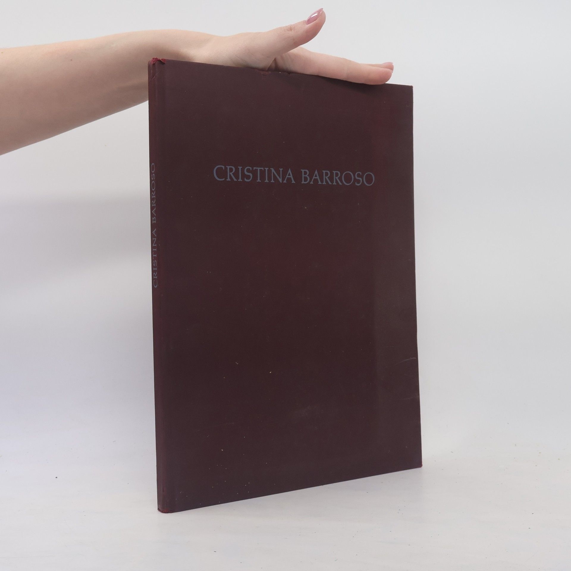 Meyer Werner Cristina Barroso, neue Arbeiten