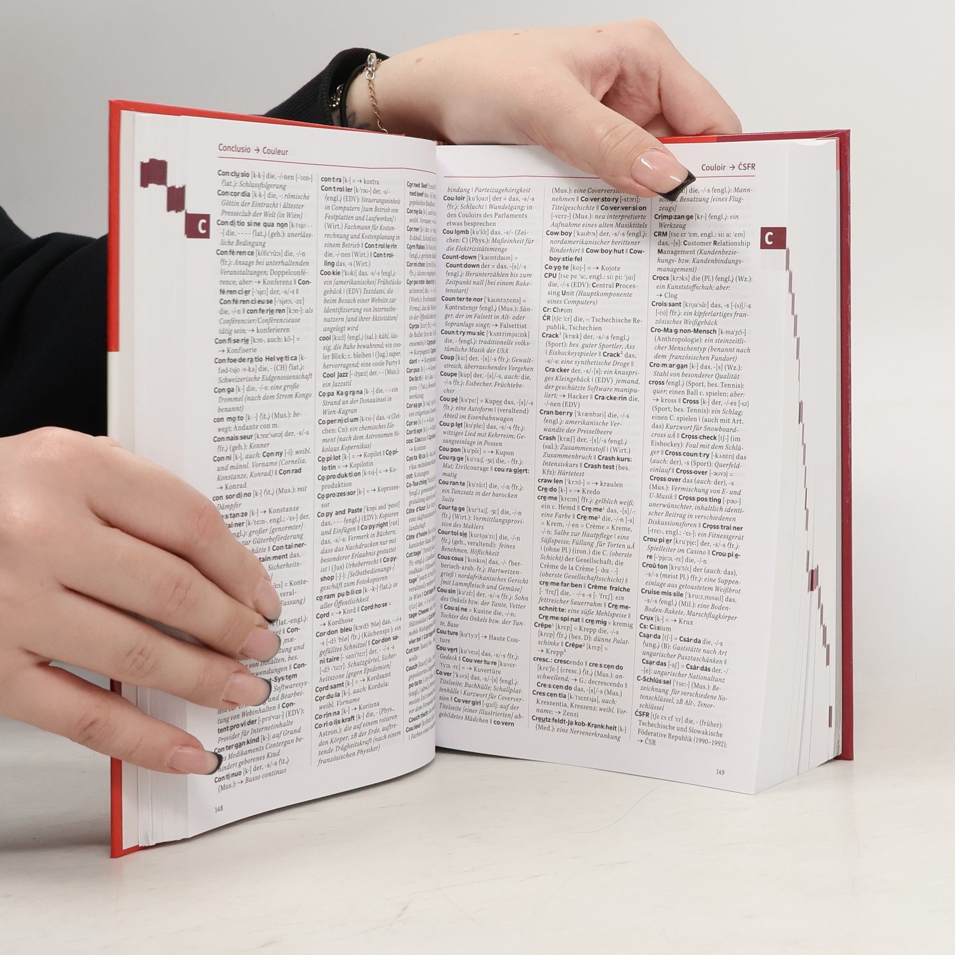 Ulrike Steiner Österreichisches Wörterbuch