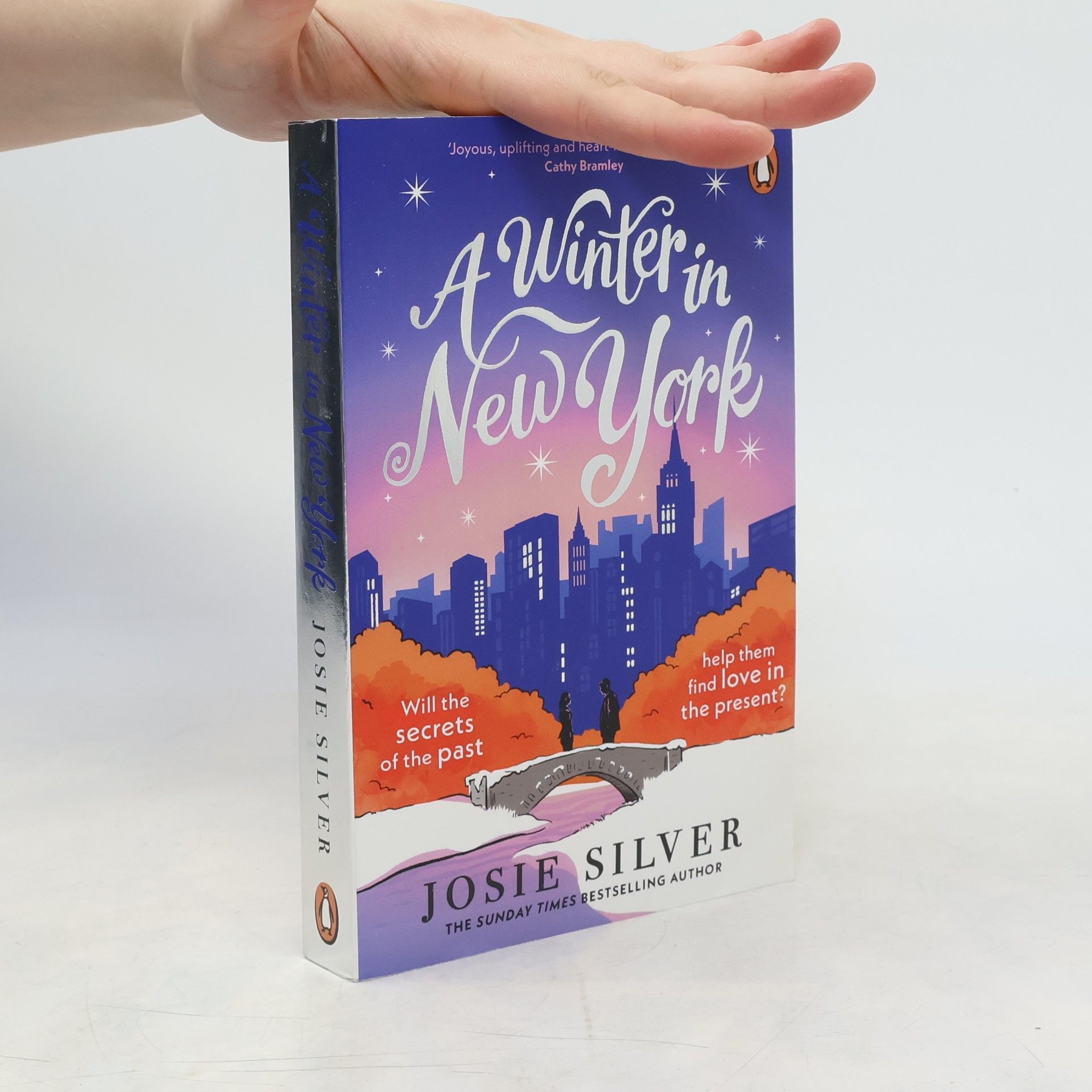 A Winter in New York