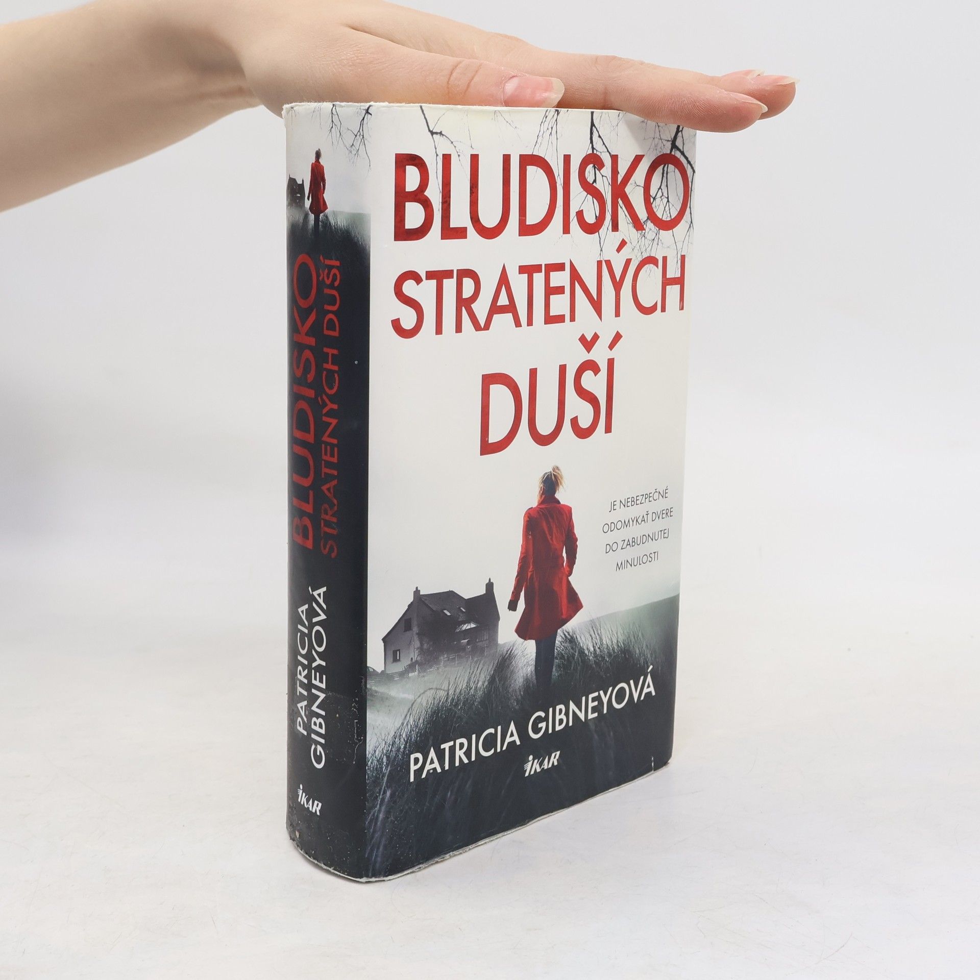 Patricia Gibney Bludisko stratených duší