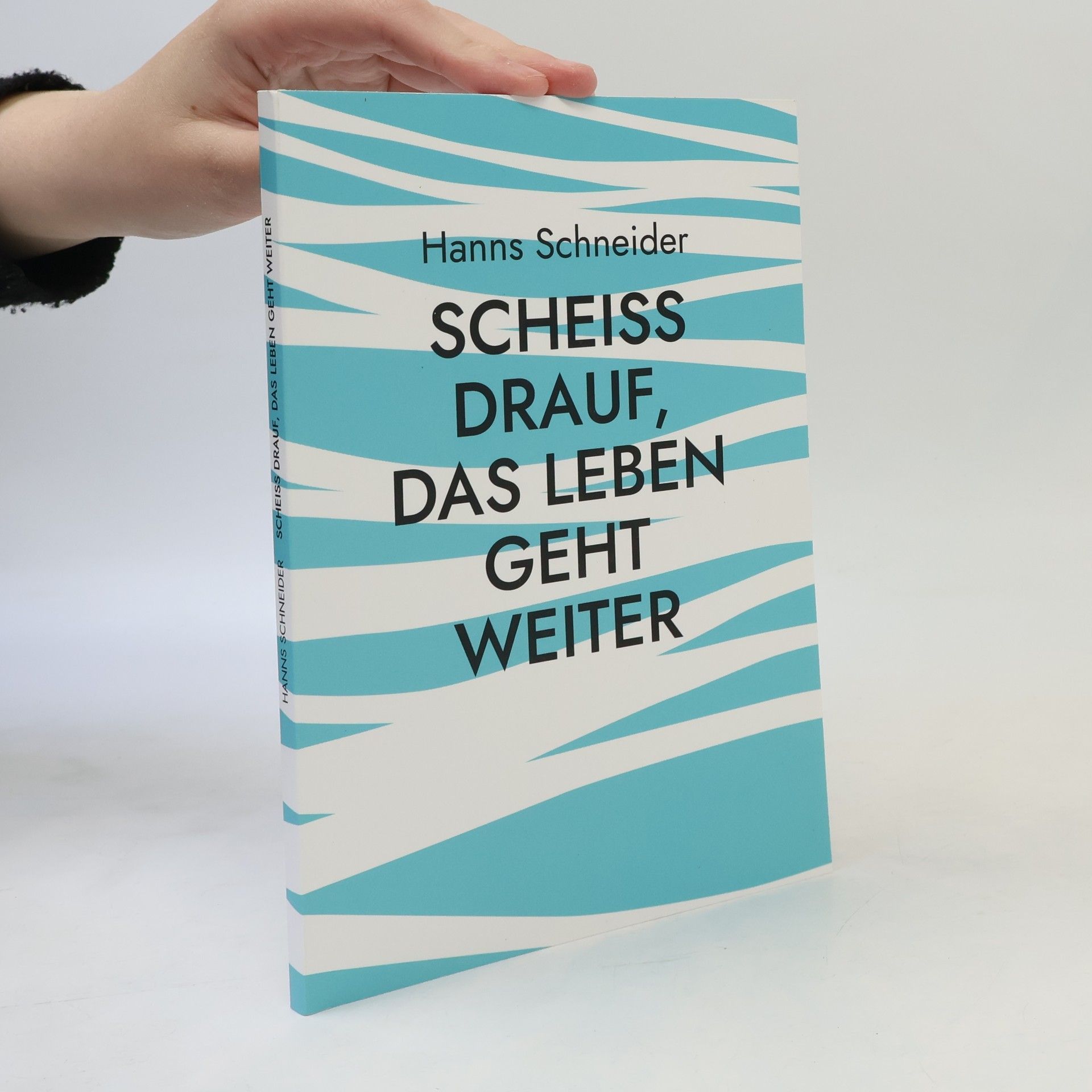 Hanns Schneider Scheiß drauf, das Leben geht weiter