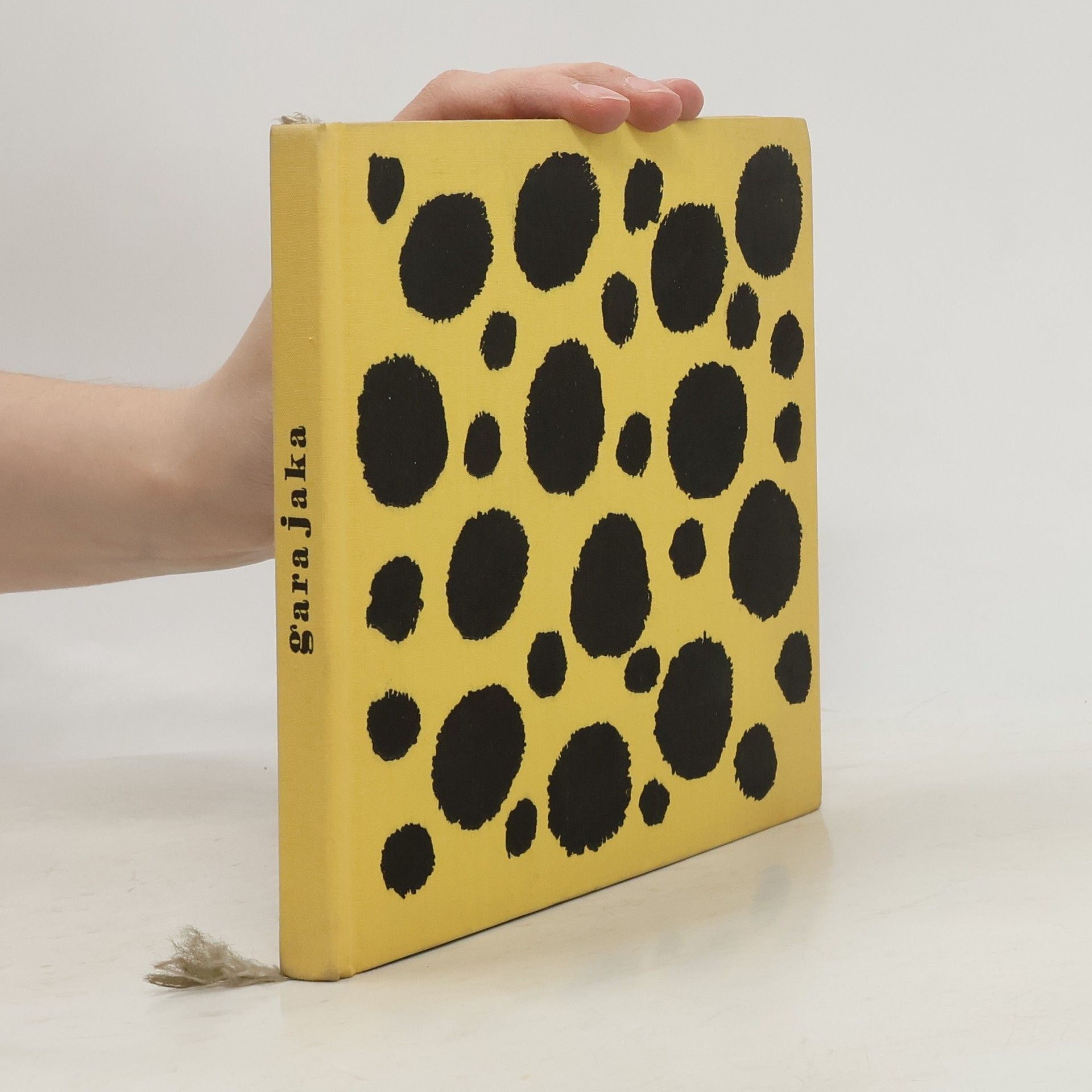 Desmond Varaday Gara Jaka. Příběh geparda