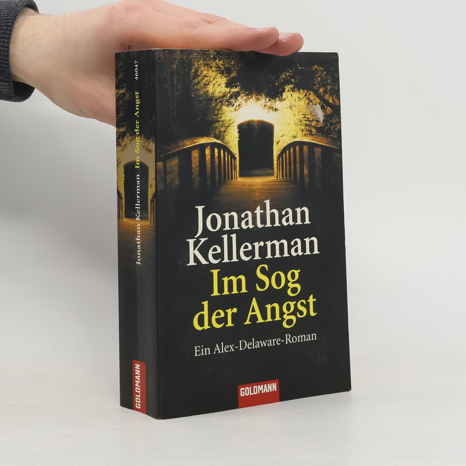 Jonathan Kellerman Im Sog der Angst