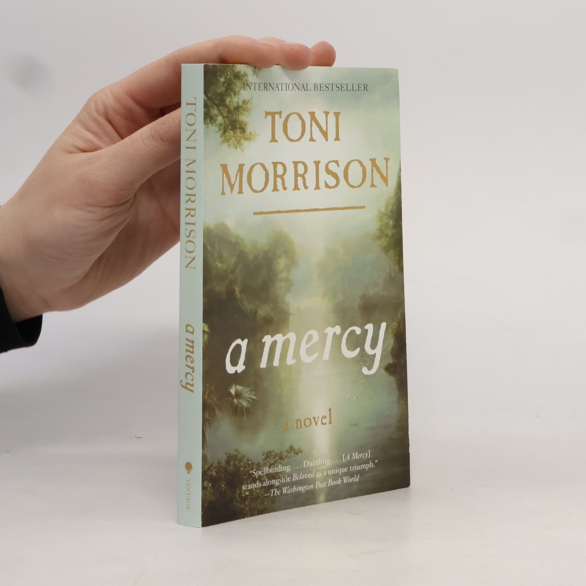 Toni Morrison A Mercy