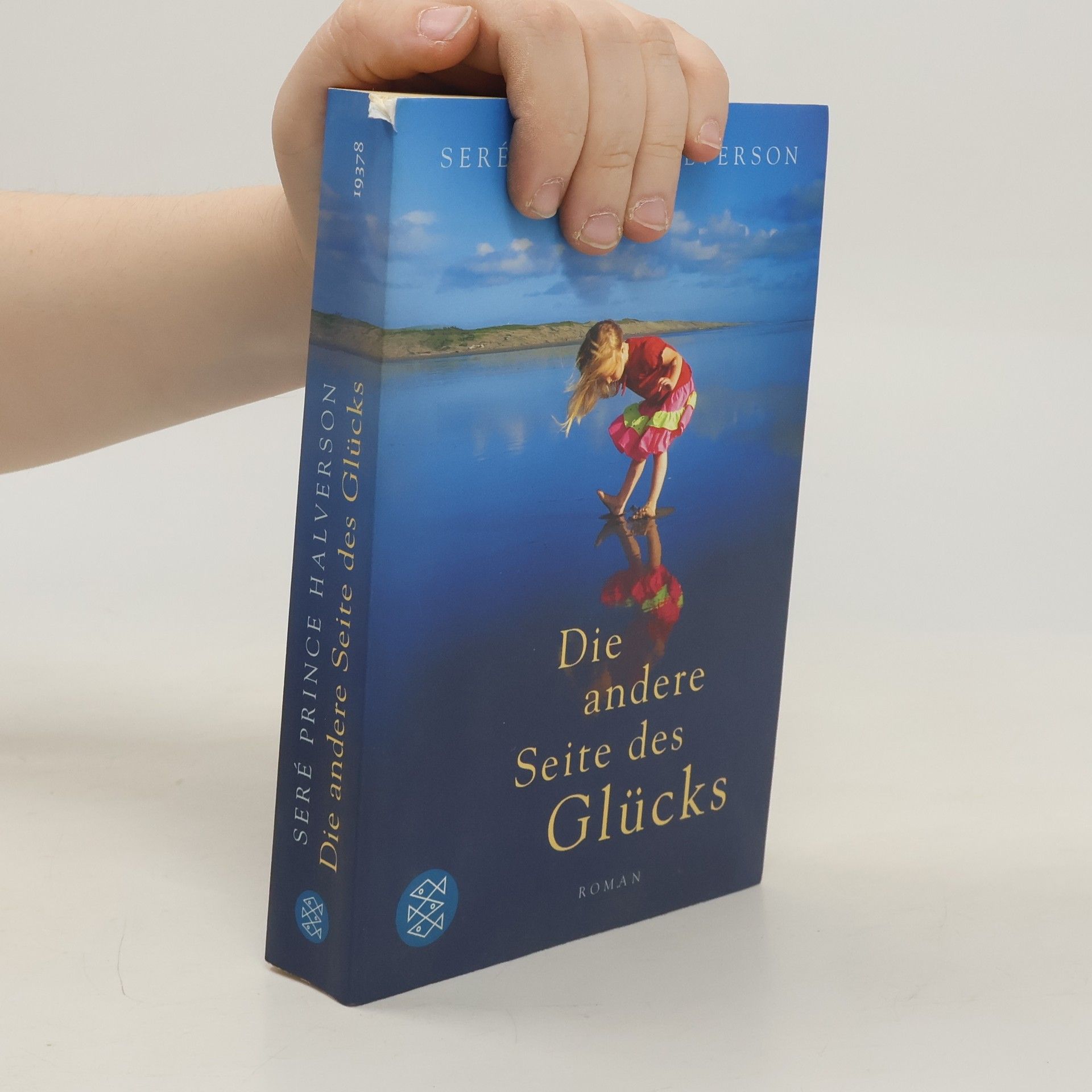 Sere Prince Halverson Die andere Seite des Glücks