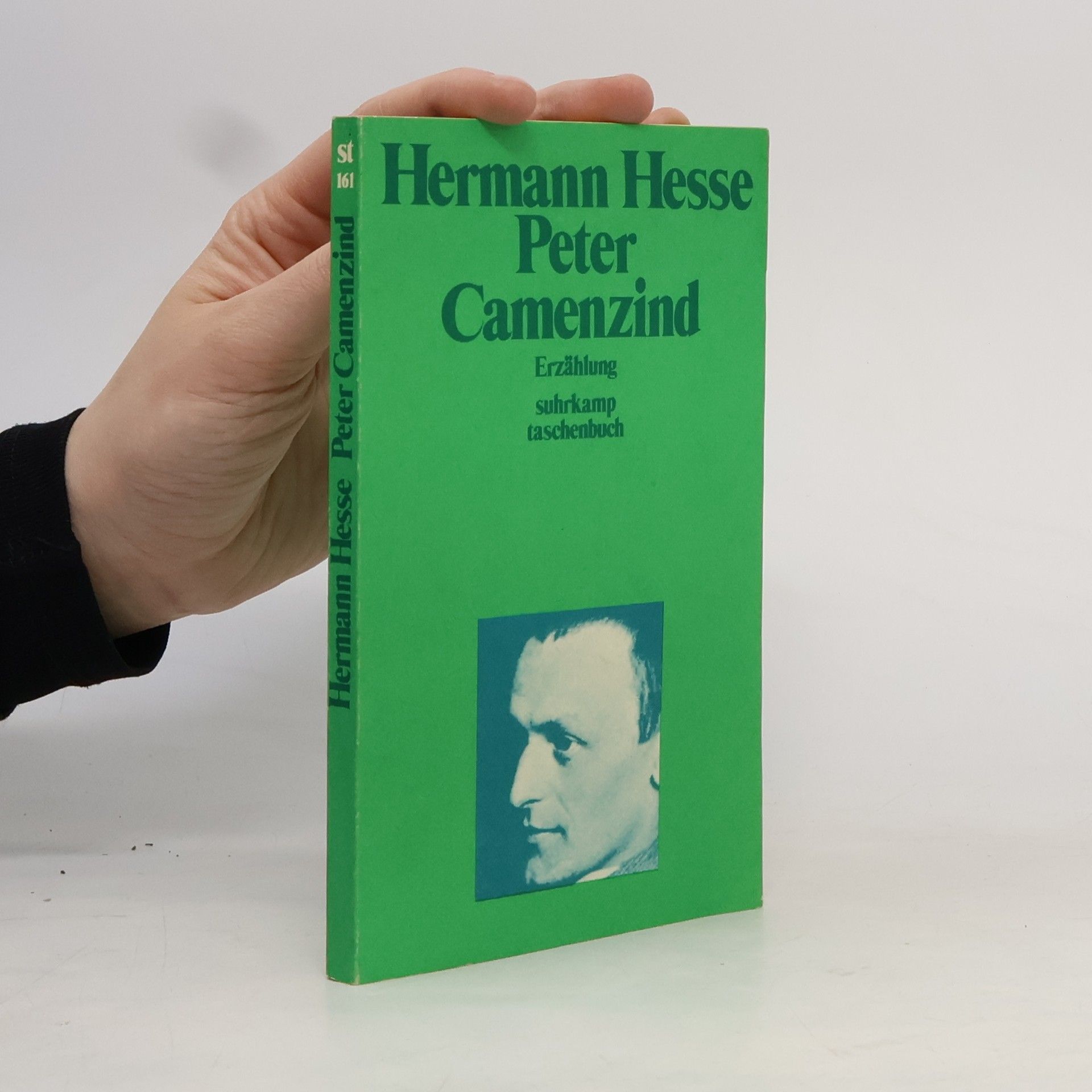 Hermann Hesse Peter Camenzind