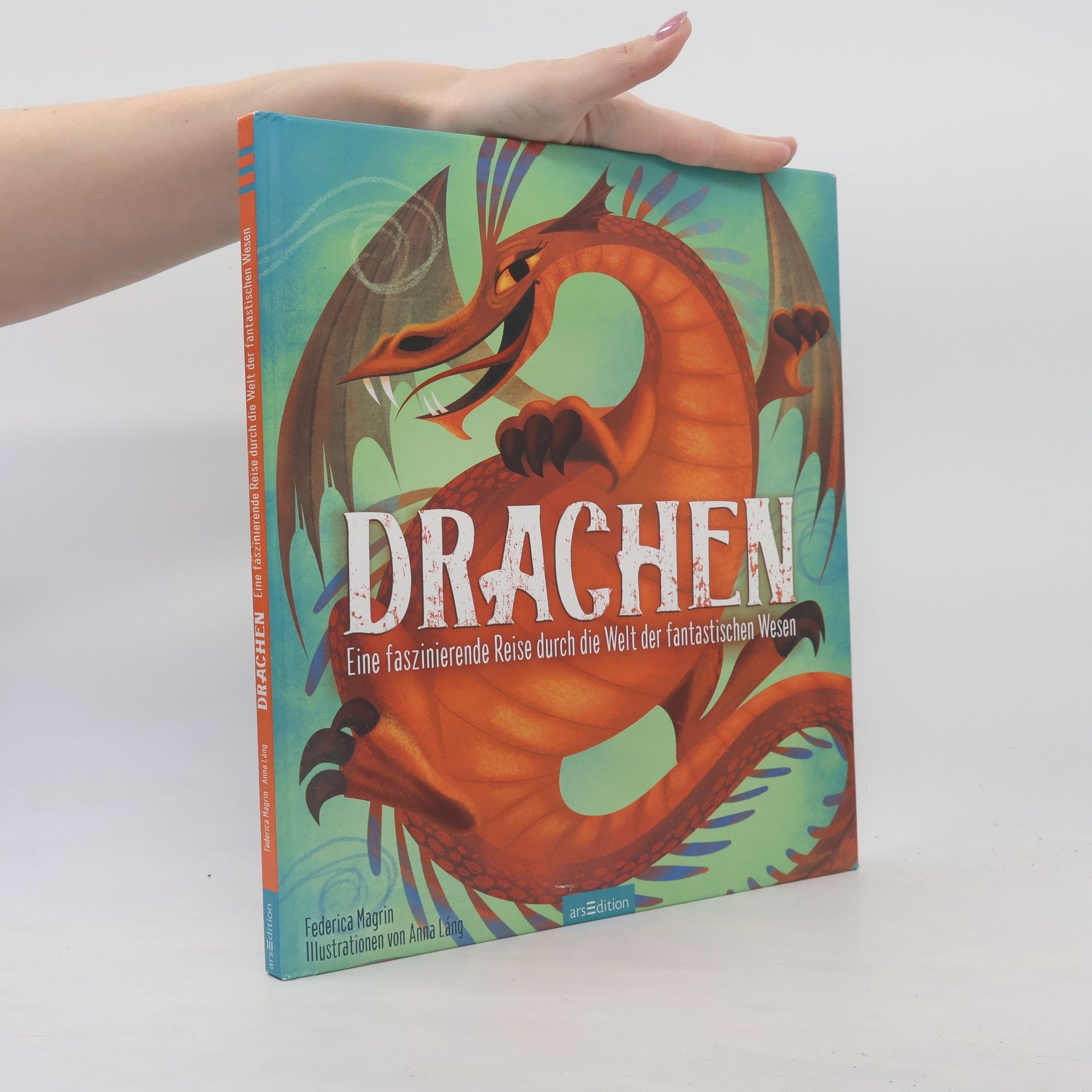 Federica Magrin Drachen